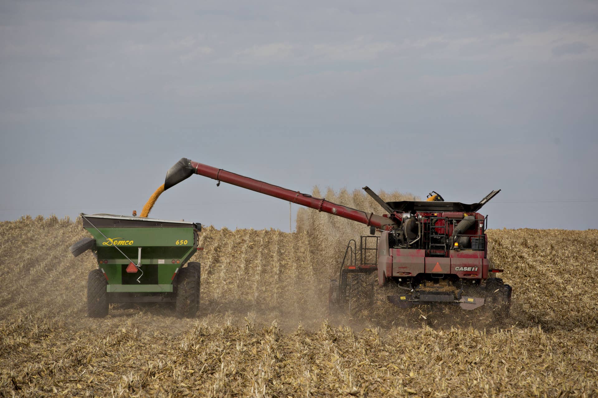 Corn is harvested with a Case IH combine harvester in Sheffield, Illinois, U.S., on Monday, Oct. 31, 2016. The United States Department of Agriculture (USDA) says that in week ended October 27, corn export sales jumped 84% to 1.474 million tons from a week earlier with Japan, Mexico, Cuba and Colombia as top buyers. Photographer: Daniel Acker/Bloomberg via Getty Images