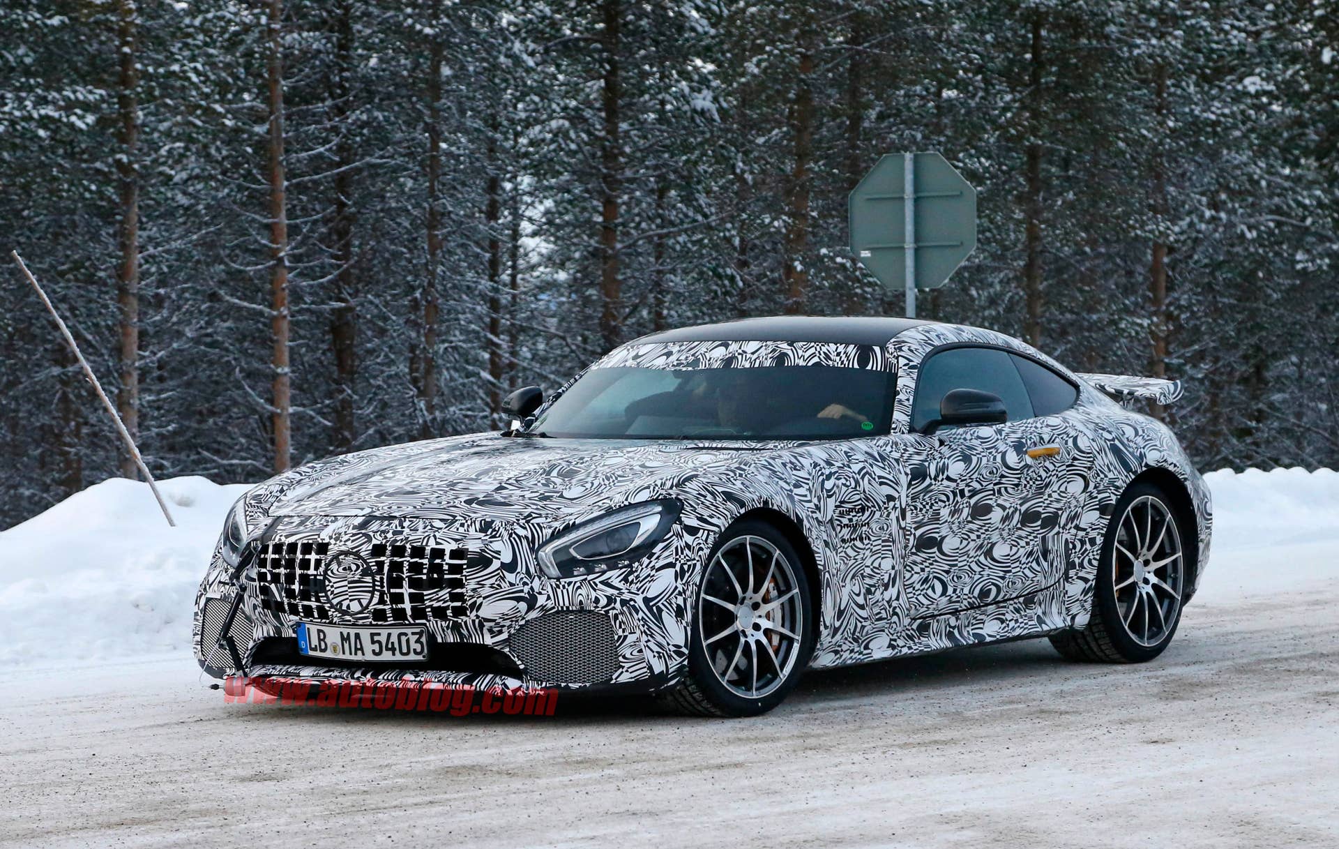 Mercedes-AMG GT R Winter Testing