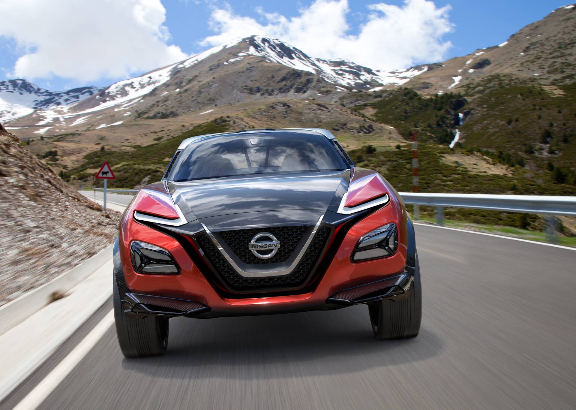 nissan mountains fascia grille headlights gripz