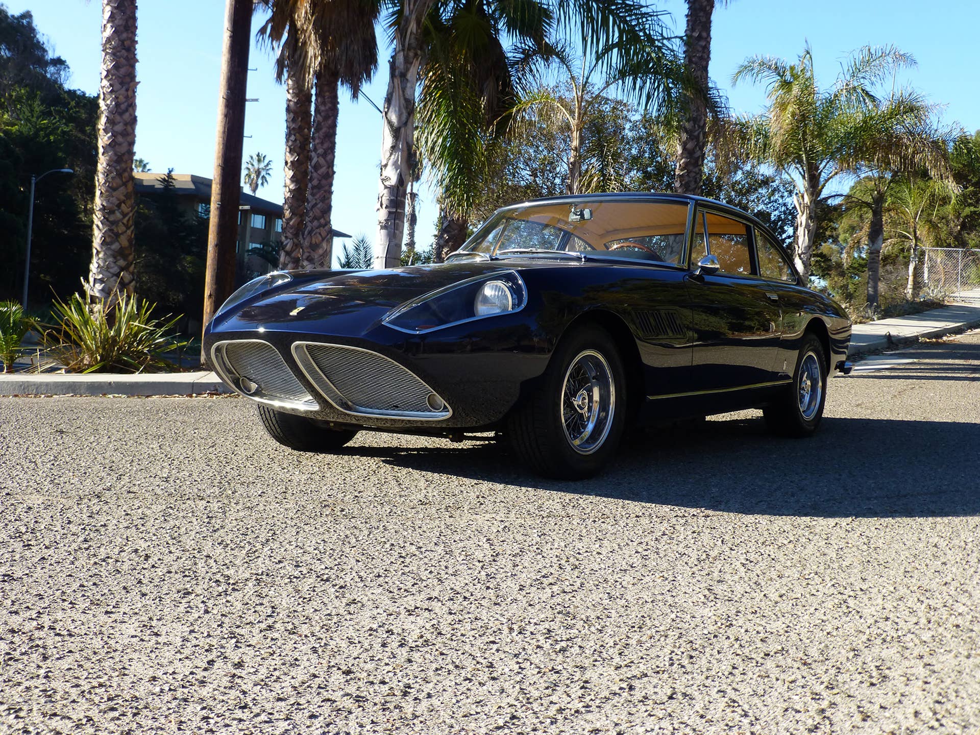 1965 Ferrari 330 GT Shark Nose