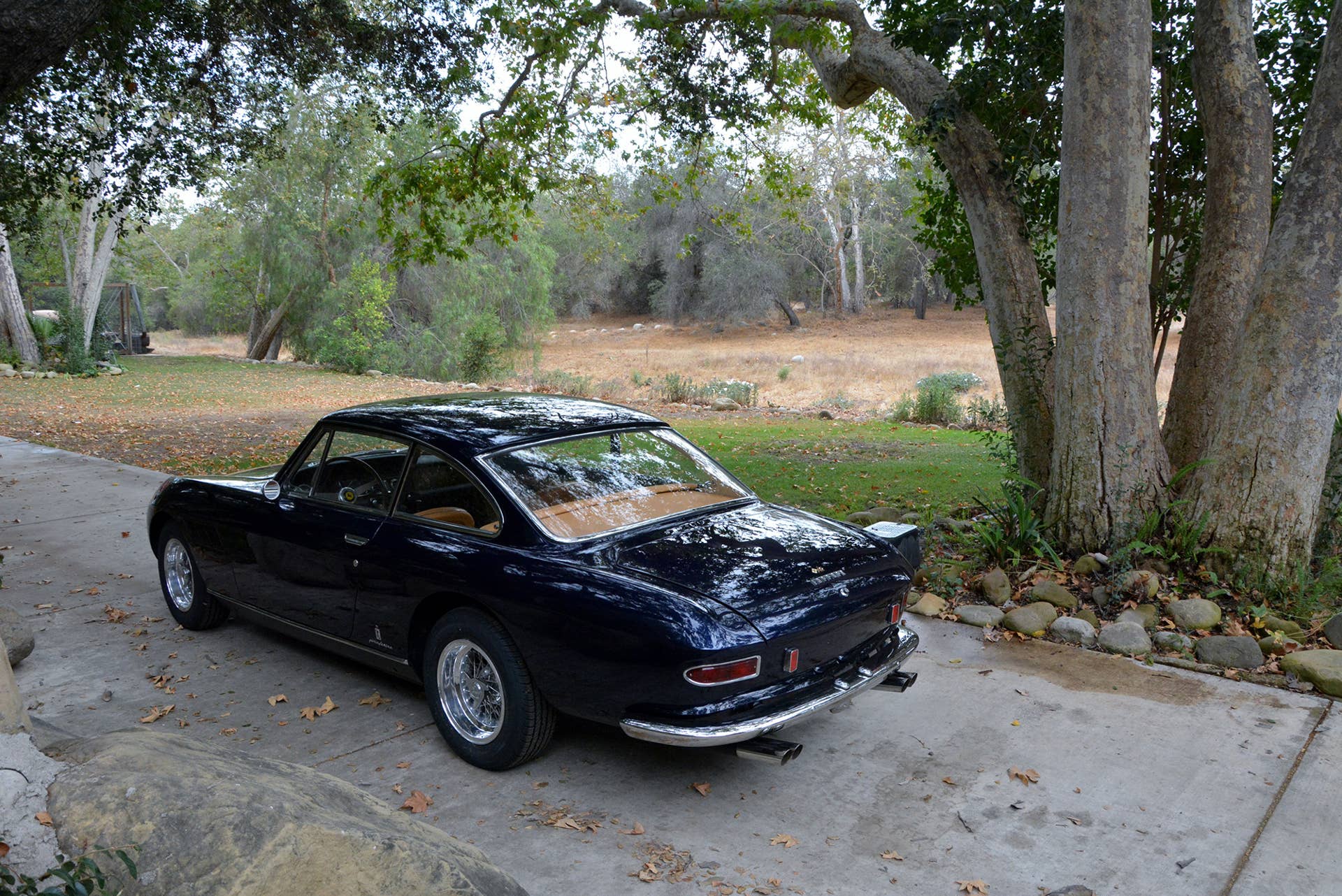 1965 Ferrari 330 GT Shark Nose Russo and Steele rear 3/4