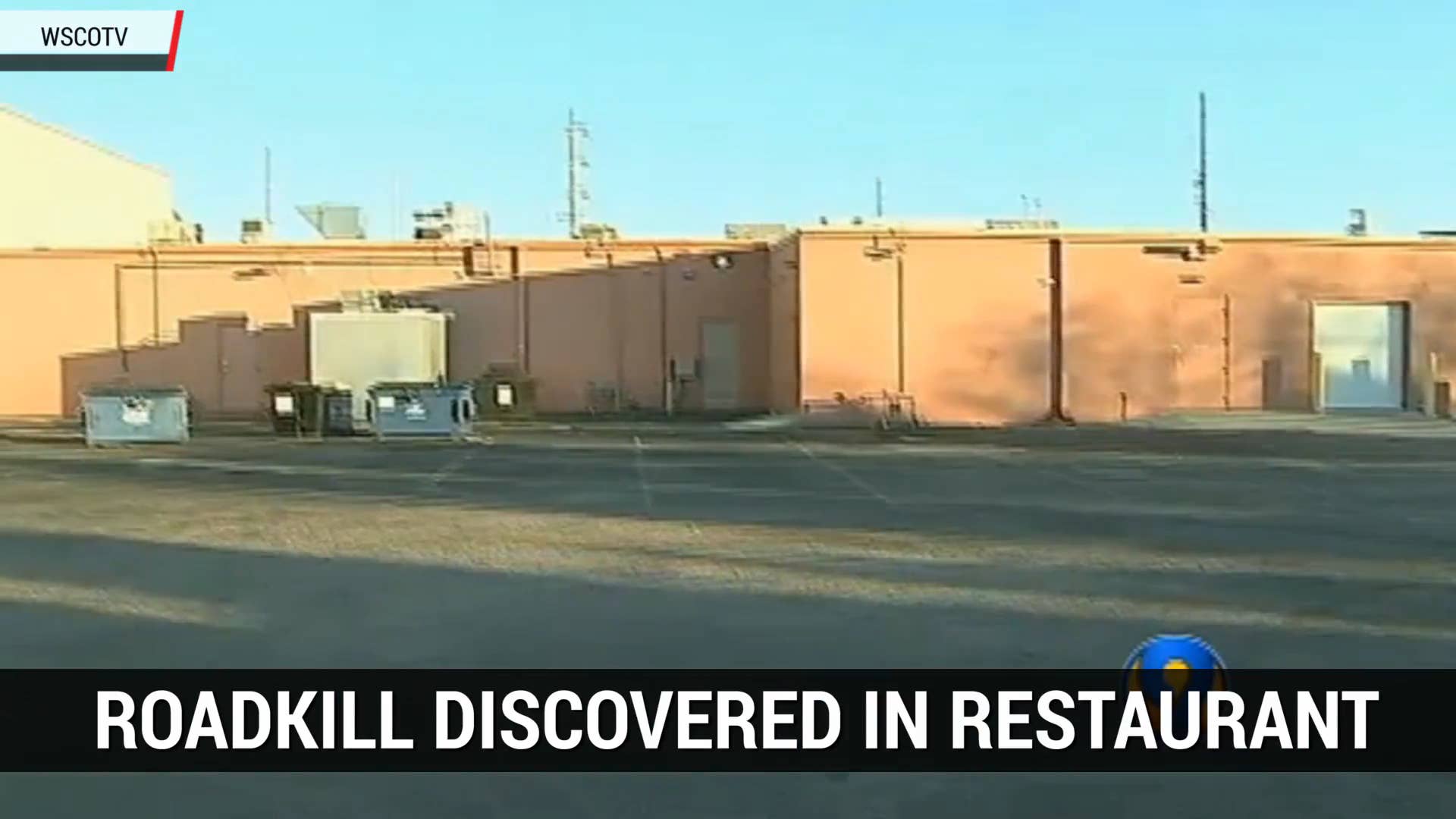 Roadkill Discovered in Restaurant | Autoblog Minute