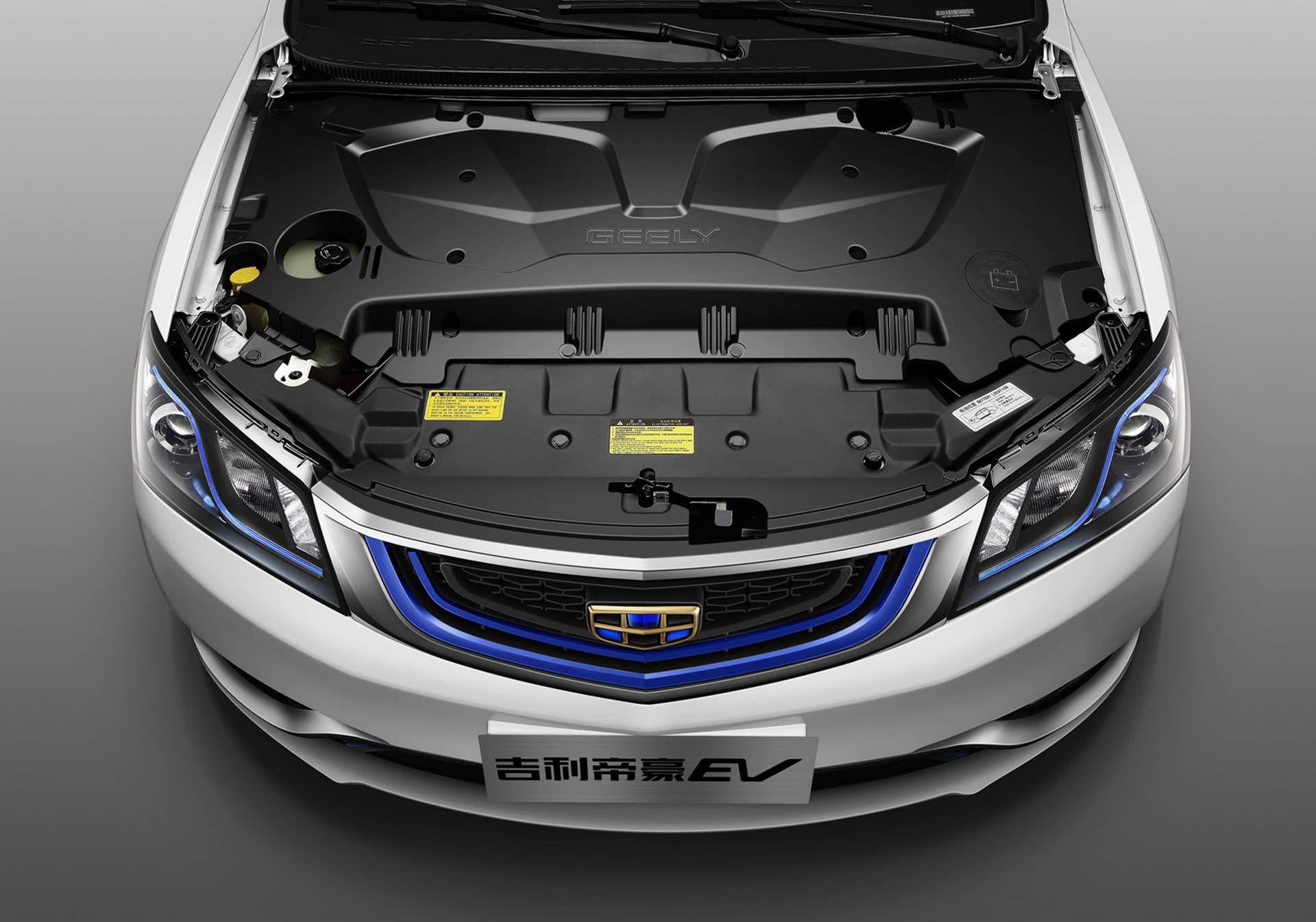 Geely Emgrand EV motor