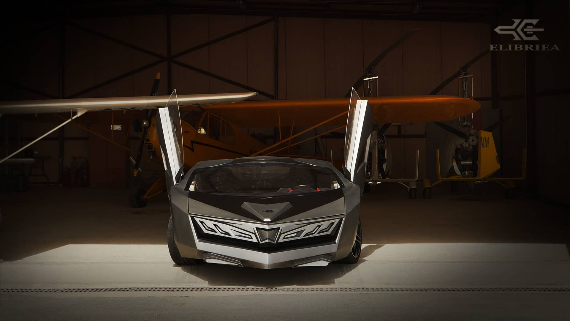 elibriea concept front