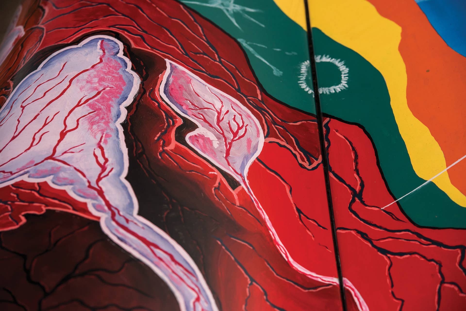 janis joplin 1964 porsche 356 detail