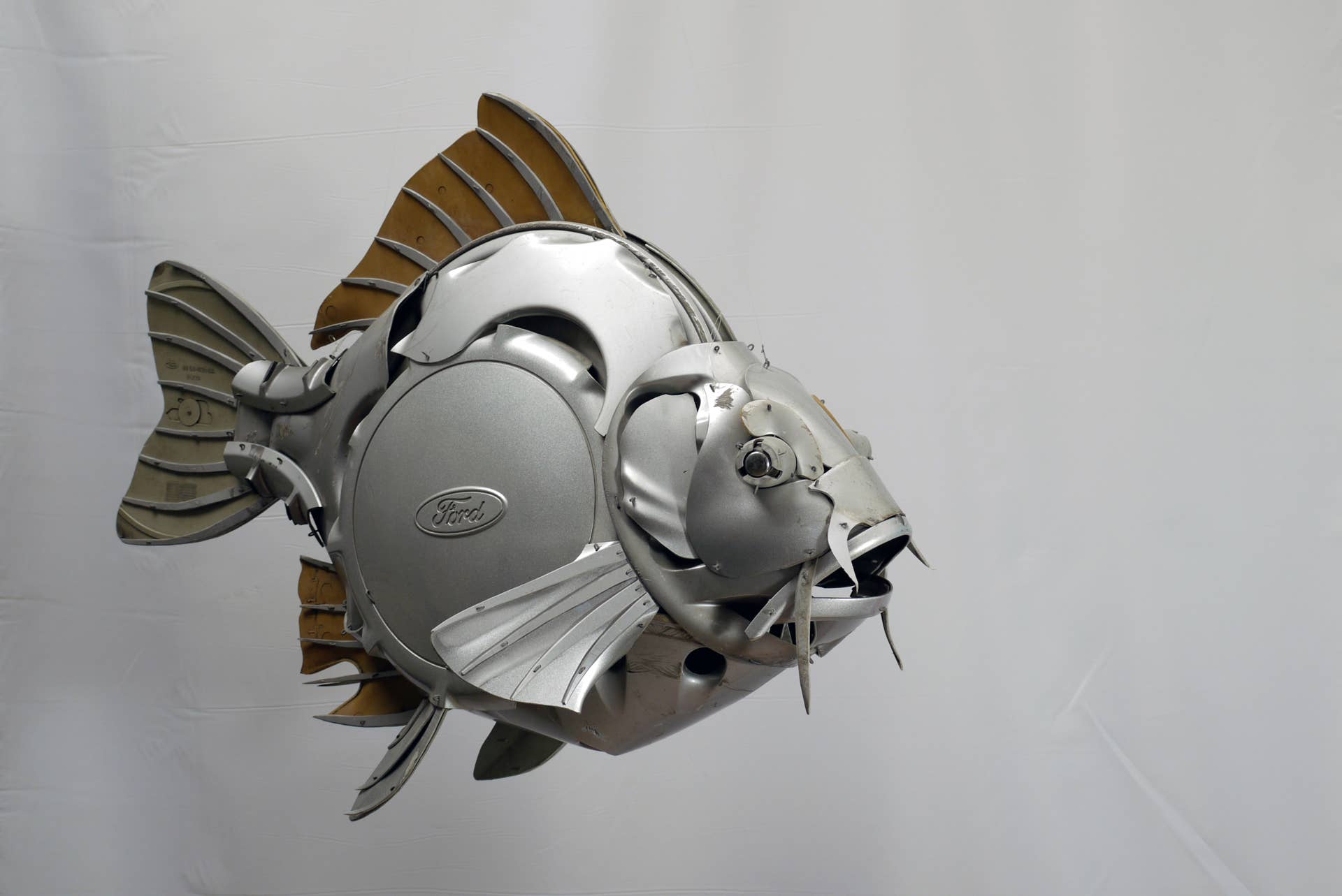Hubcap Carp