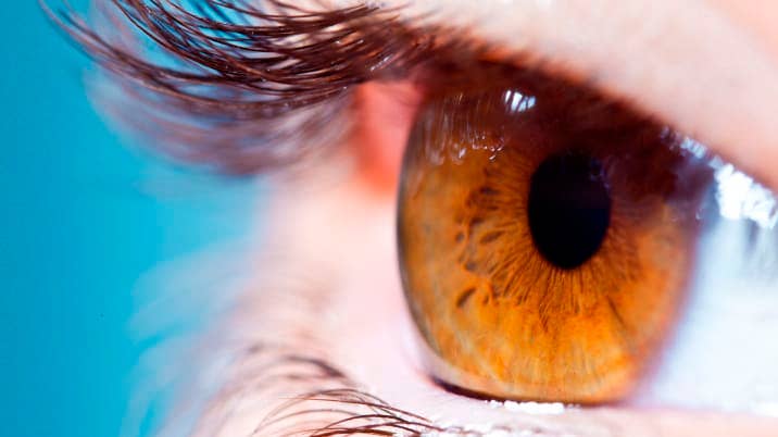 Close up of Brown Eye