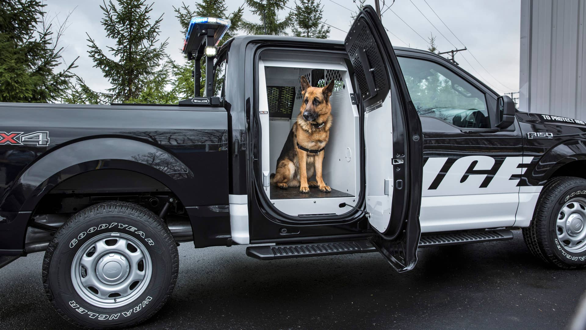 2016 ford f-150 special service vehicle profile