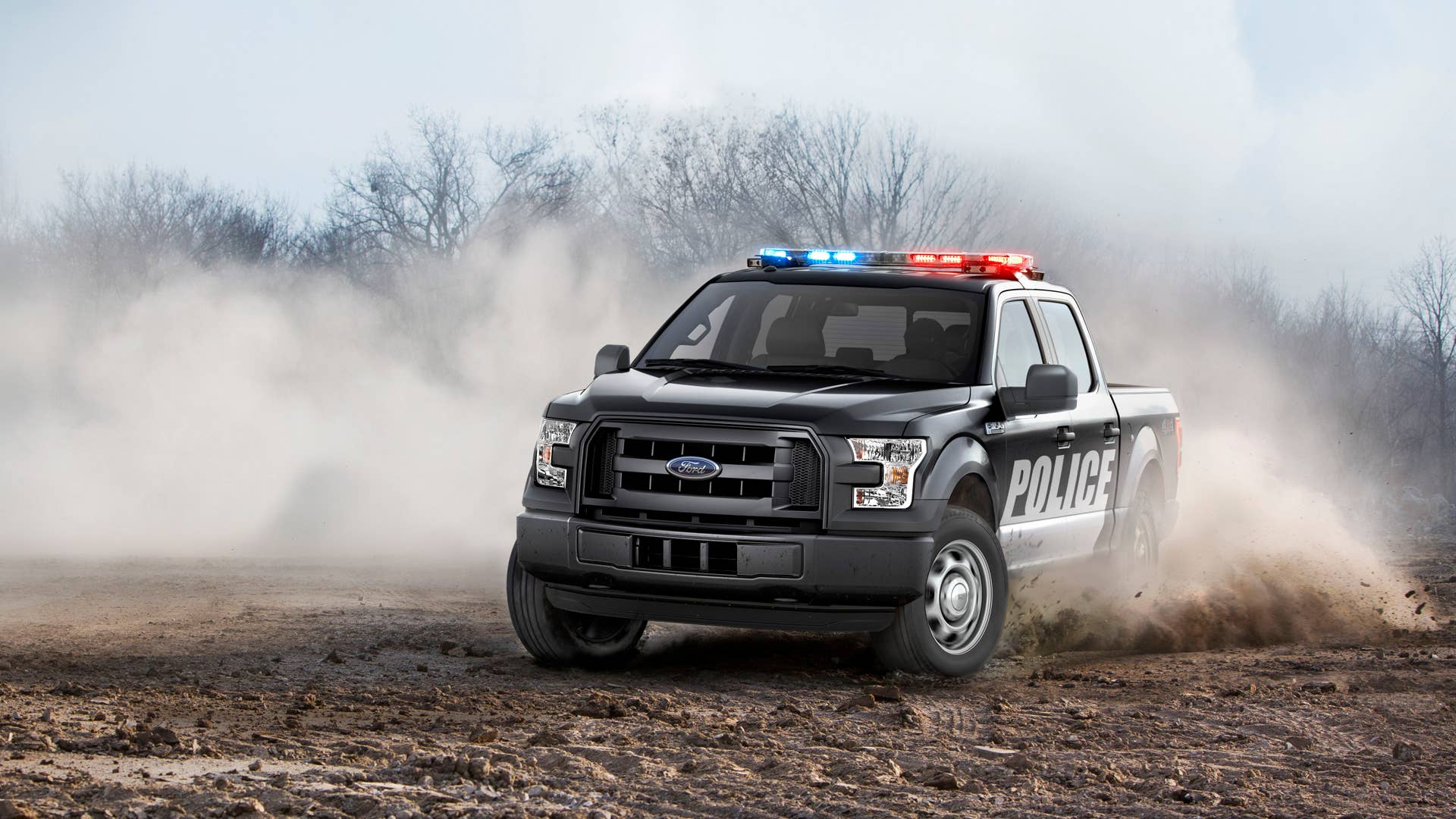 Ford offers a Special Service Vehicle package for the 2016 F-150 to meet the rigorous needs of government and fleet customers.