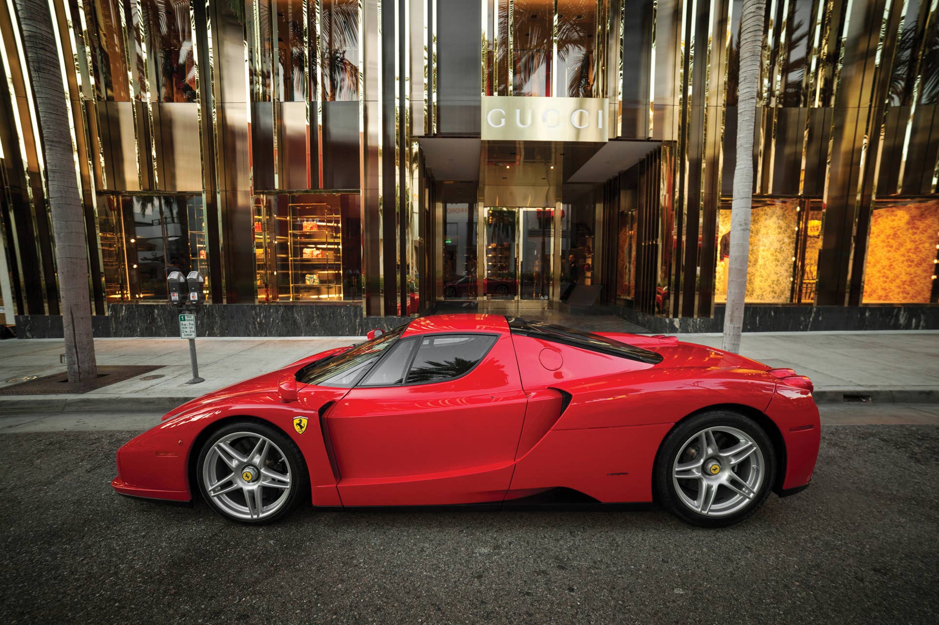Ferrari Enzo profile