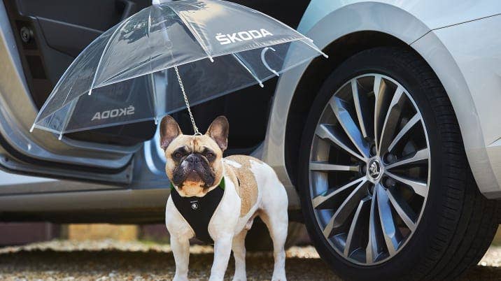 Skoda April Fools