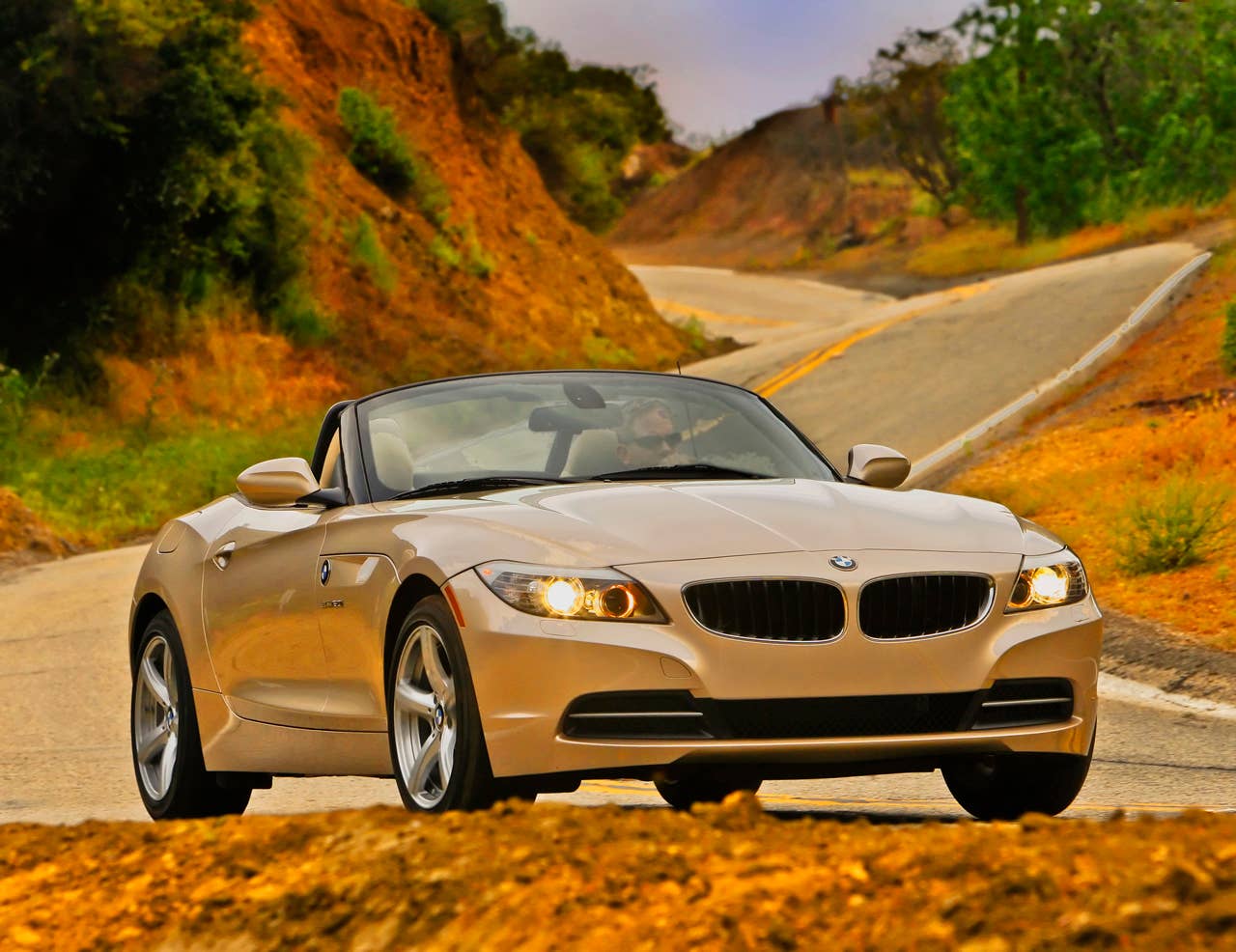 2011 BMW Z4 sDrive30i