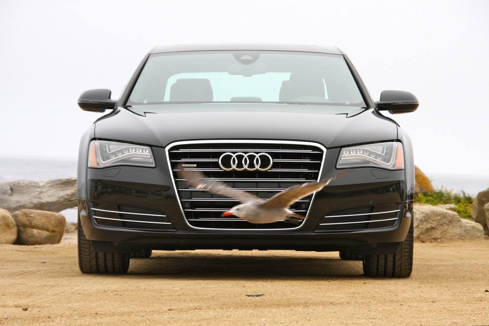 2011 Audi A8 front view (with bird)