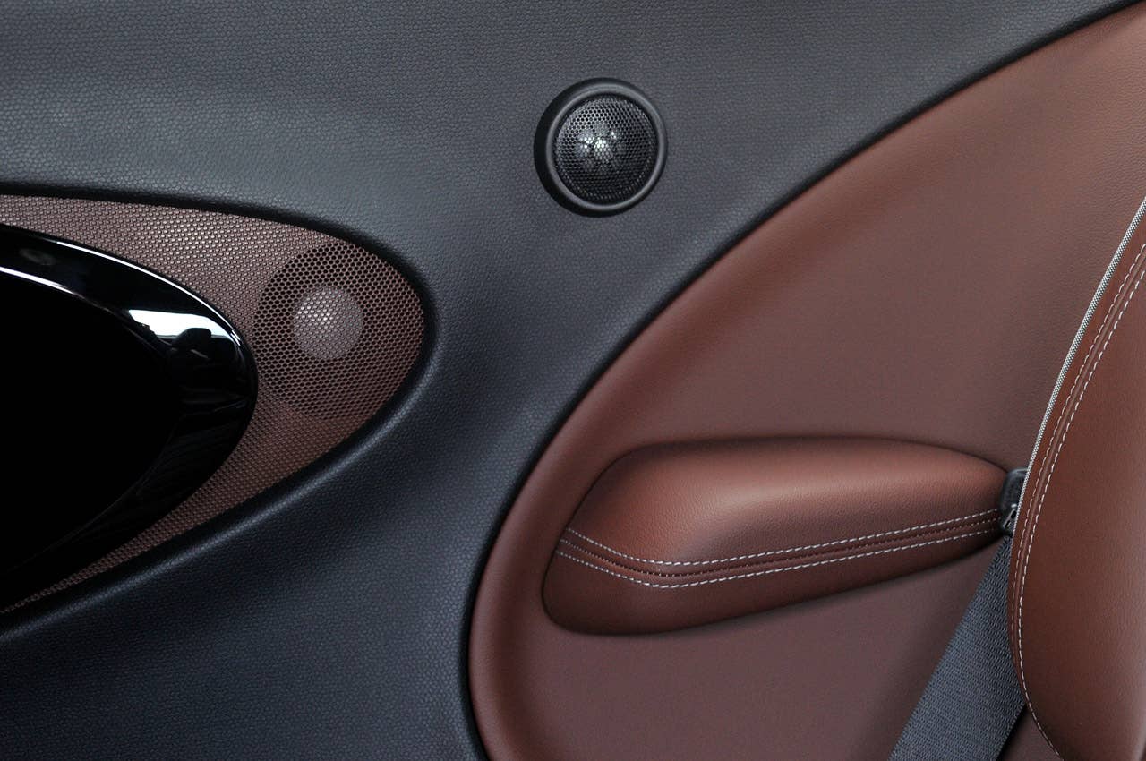 2014 Mini Cooper S Paceman door detail
