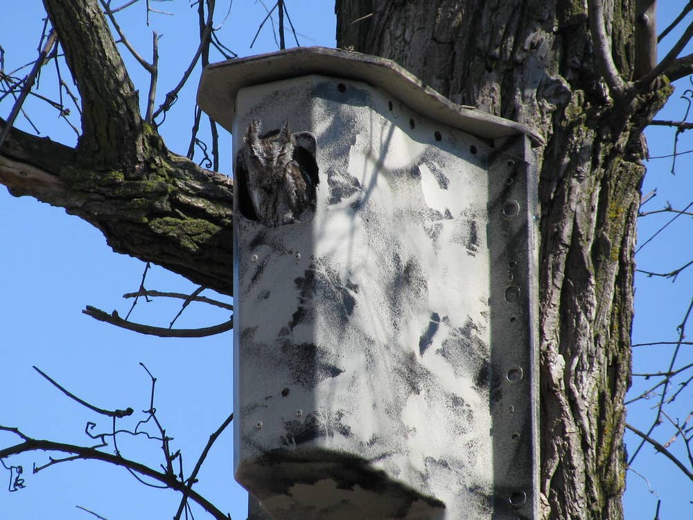 Chevy Volt battery housing recycled into duck homes