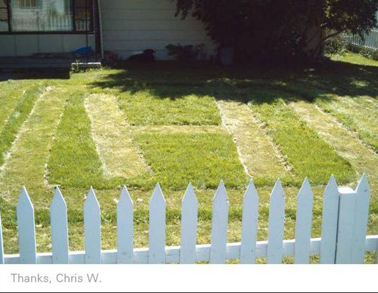 Honda fan Chris W.'s yard