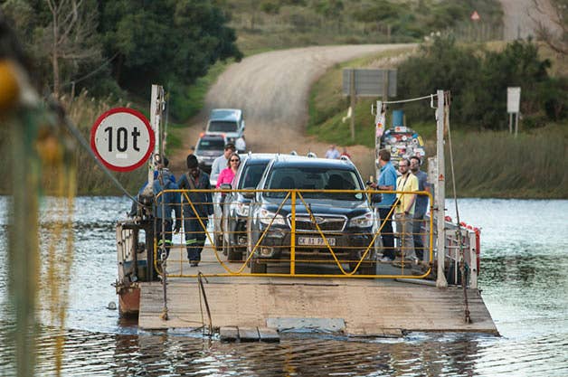 Subaru Foresters in South Africa