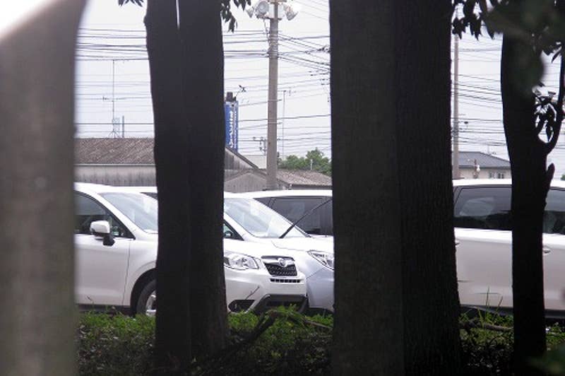 2014 Subaru Forester spy photos