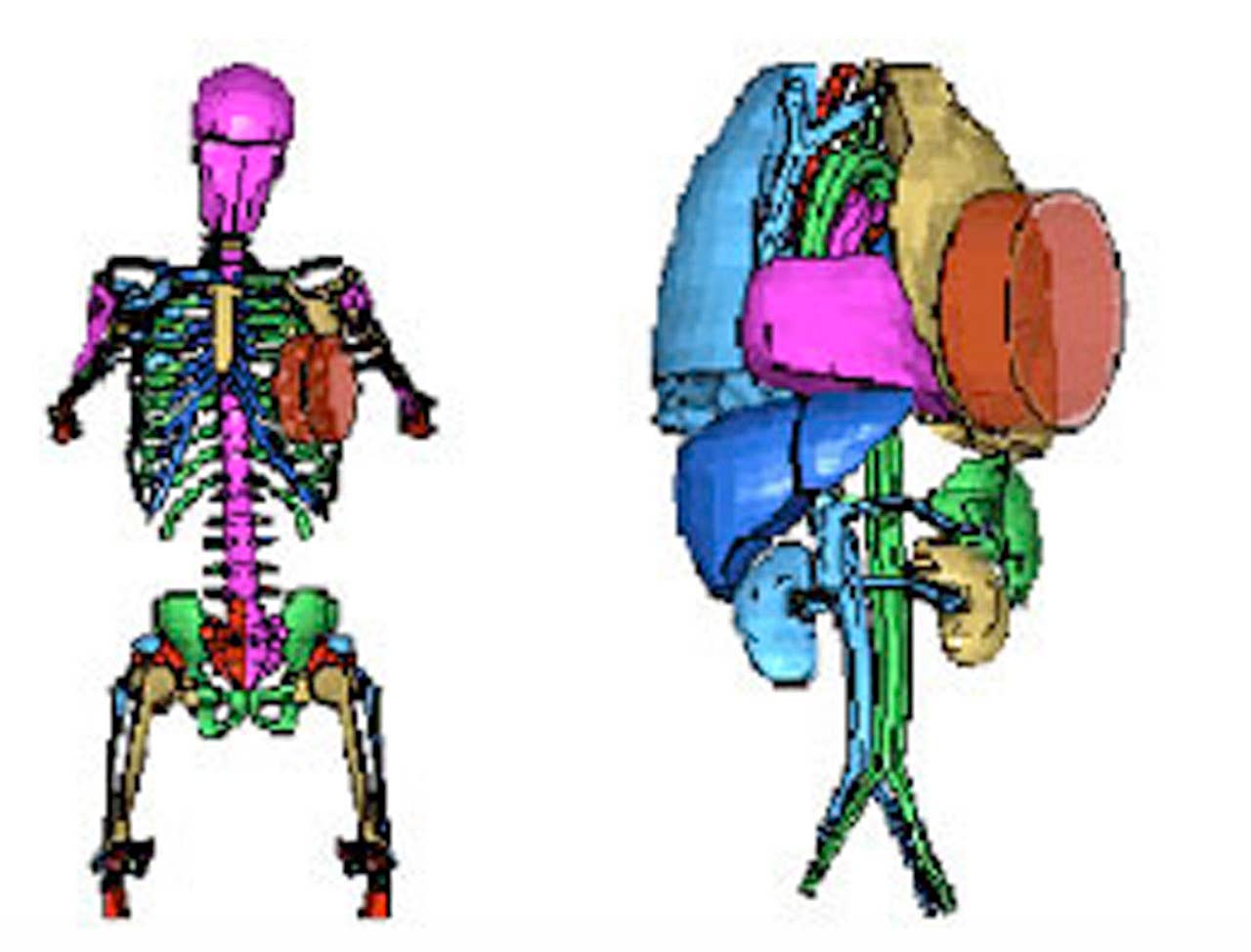 Digital models are used in research, not in vehicle development. They don't take the place of crash dummies, which measure the effect of forces on the body. They're used as a way to understand how to further improve restraint system effectiveness through better understanding of injury mechanisms. (03/31/2011)