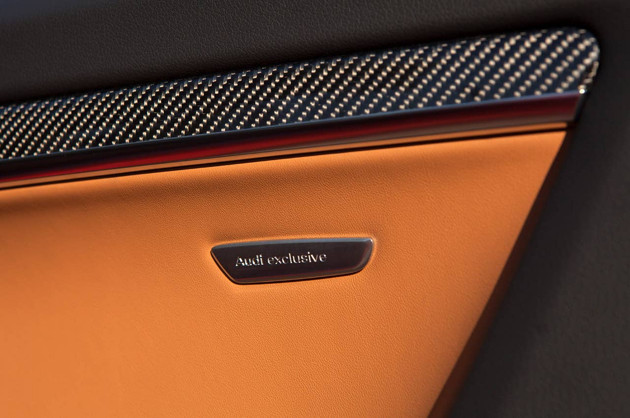 2014 Audi RS5 Cabriolet door detail