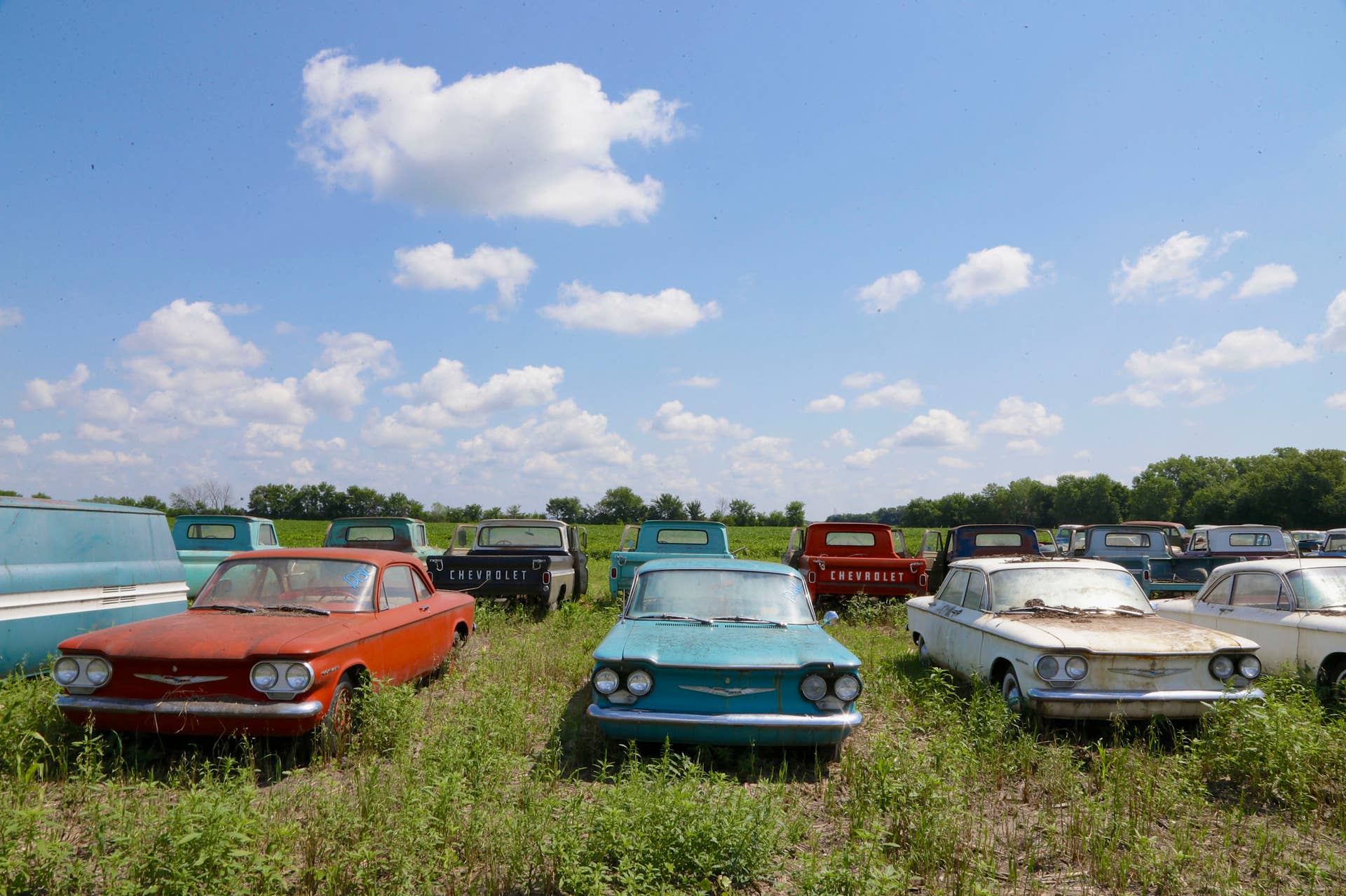 In this Aug. 12, 2013 photo, rare Corvairs and pickup trucks are lined up in a field near the former Lambrecht Chevrolet car dealership in Pierce, Neb. In September, bidders from at least a dozen countries and all 50 U.S. states will converge on Pierce, a town of about 1,800 in northeast Nebraska, for a two-day auction that will feature about 500 old cars and trucks, mostly Chevrolets that went unsold during the dealership?s five decades in business. About 50 have fewer than 20 miles on the odometer, and some are so rare that no one has established a price. The most valuable could fetch six-figure bids. (AP Photo/Nati Harnik)