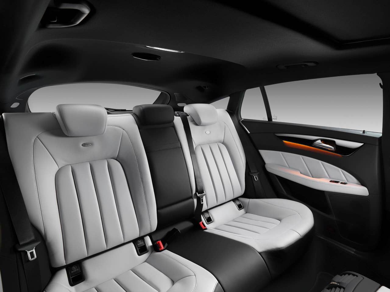 CLS 500 Shooting Brake, Lack: designo magno alanitgrau (X 218) 2012