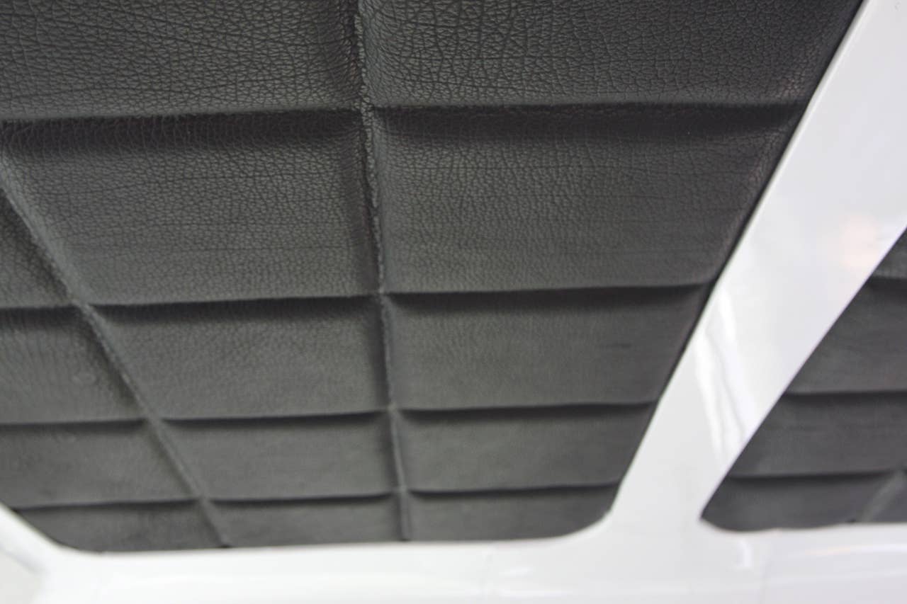 ICON D200 leather trim