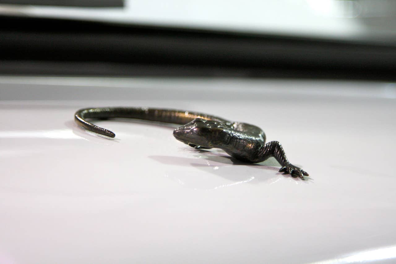 ICON D200 lizard