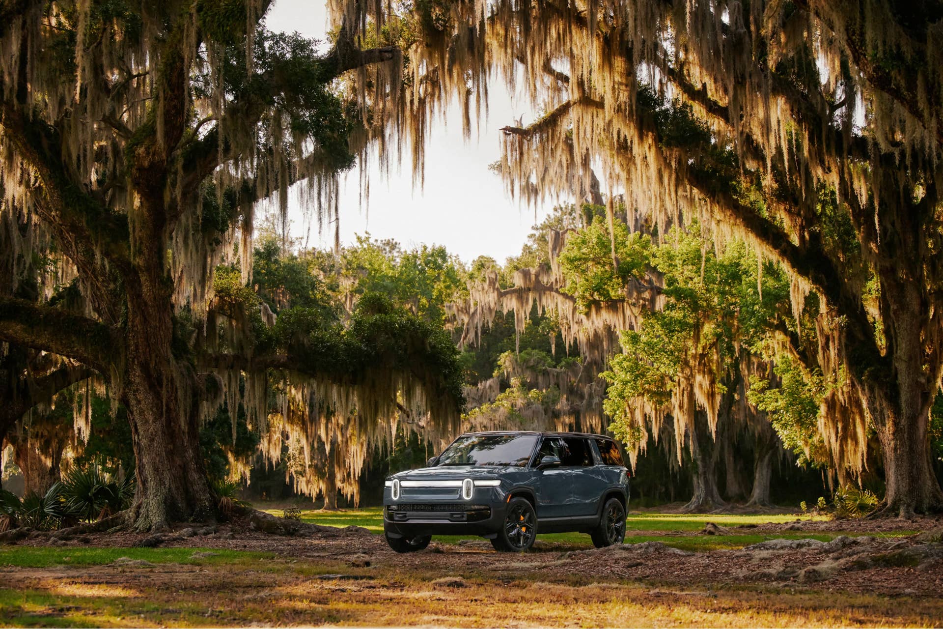 2025 Rivian R1S in the field.