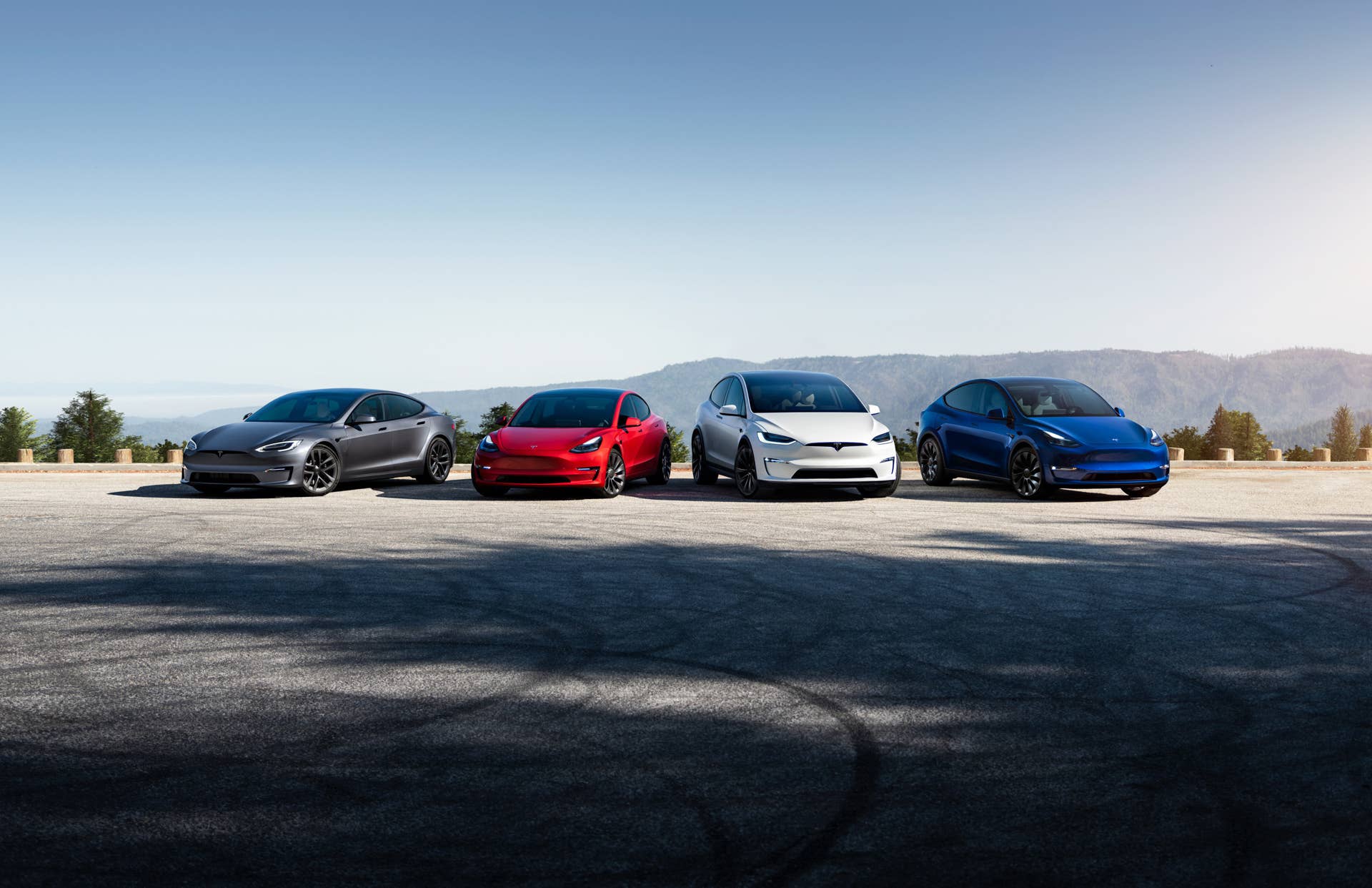 Group of Teslas