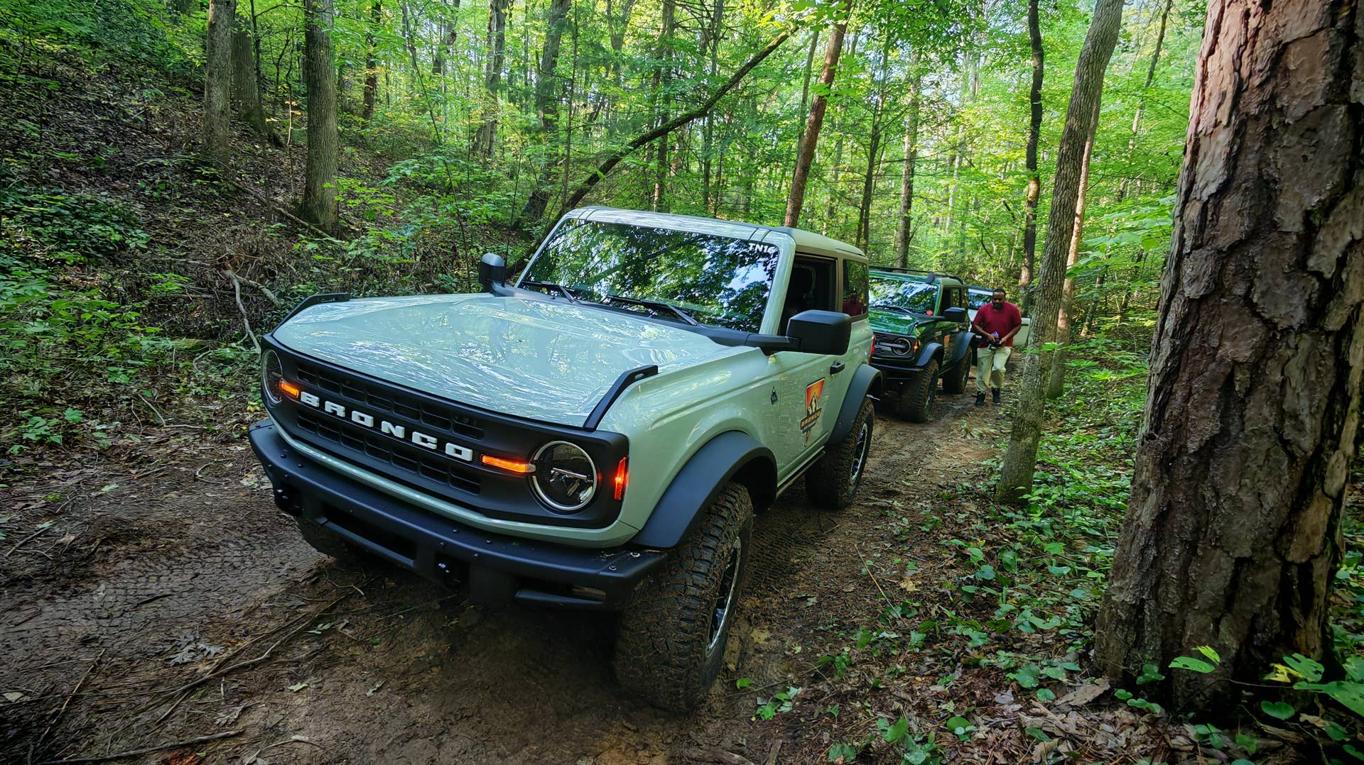 A light green Bronco leading a trail of vehicles through the woods