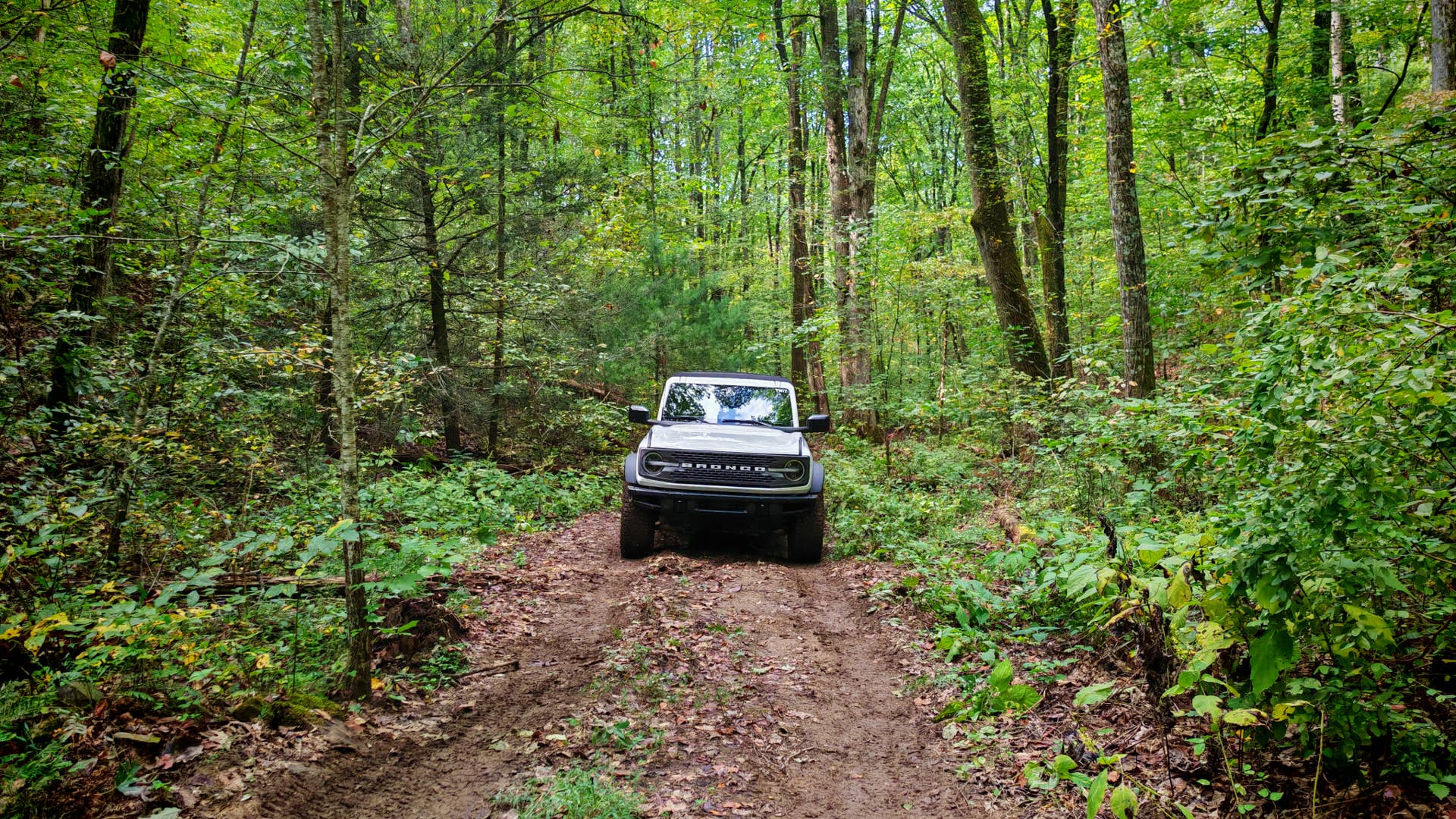 A white Ford Bronco driving down a woodland trail