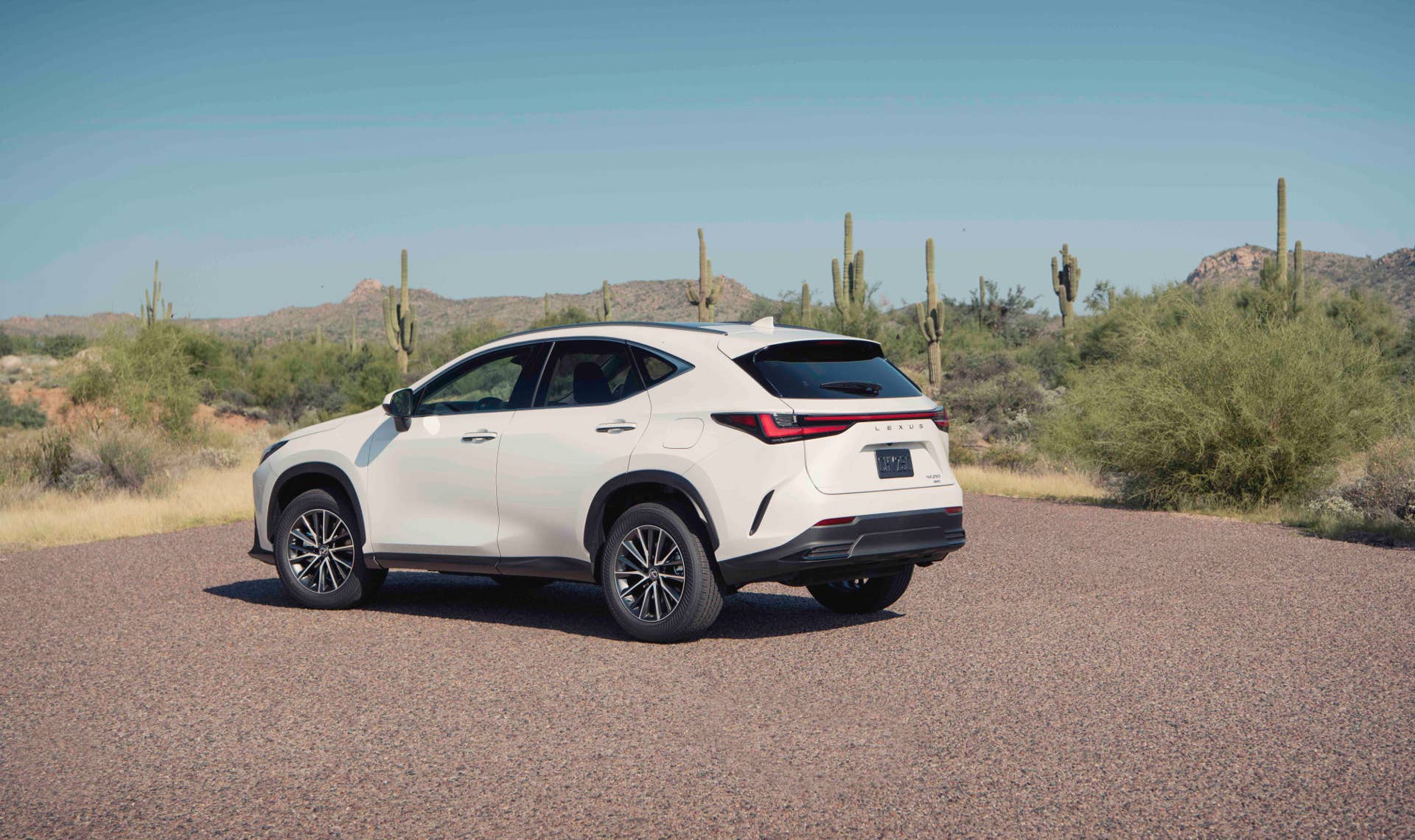 2025 Lexus NX