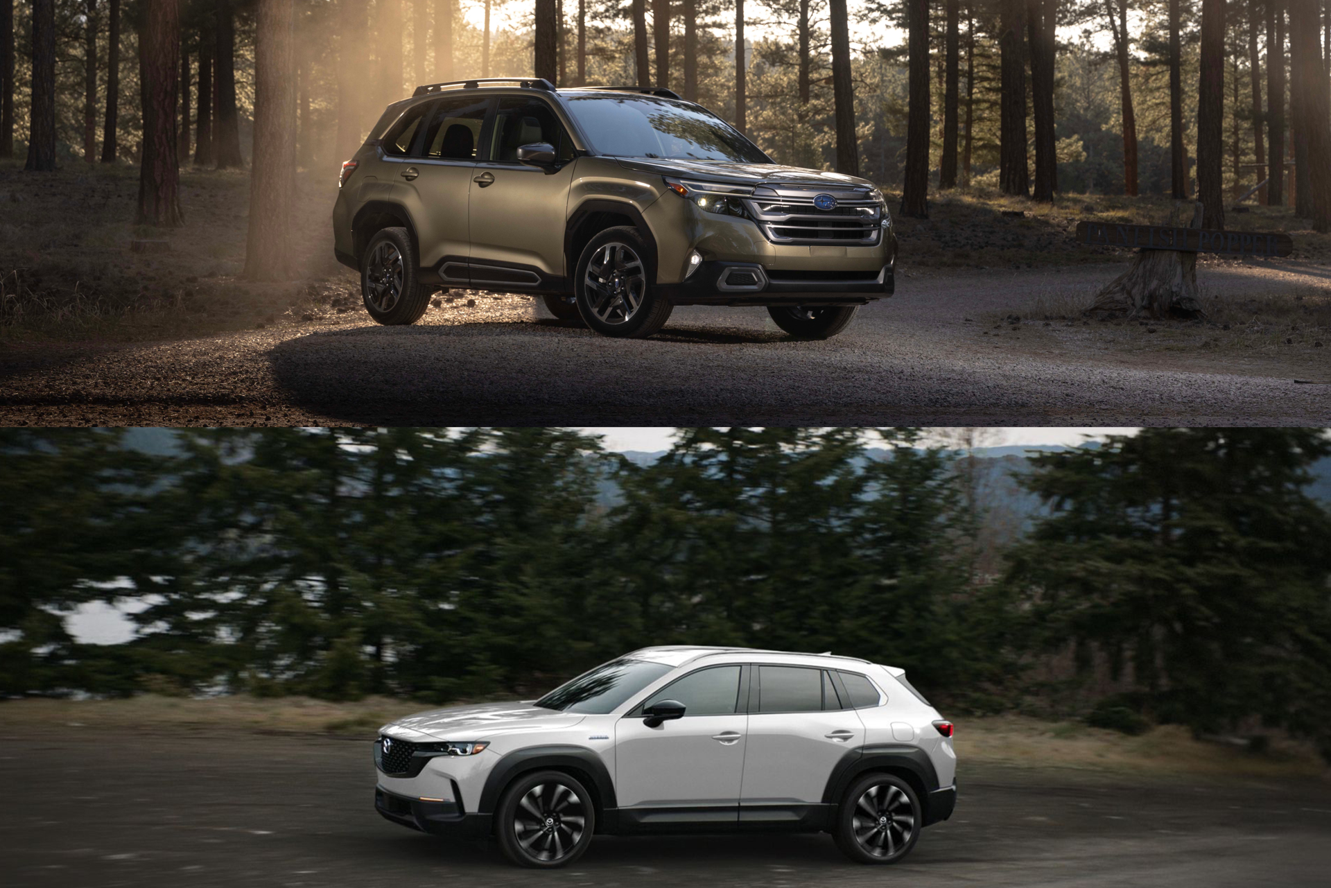 2025 Forester vs CX-50