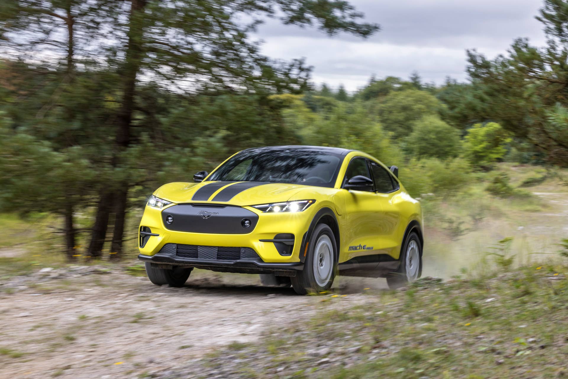 2025 Mustang Mach-E Rally
