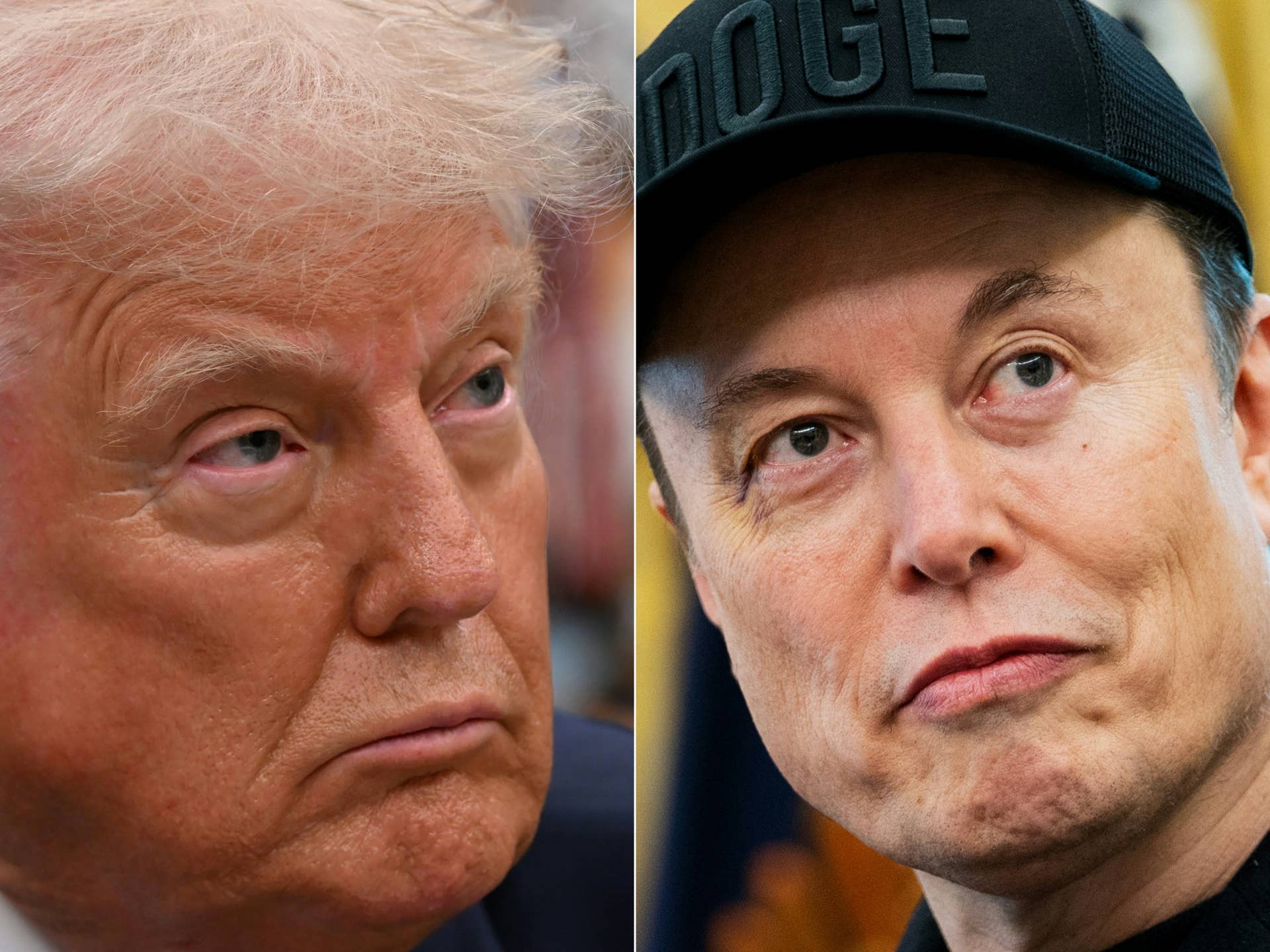 President Trump/Elon Musk