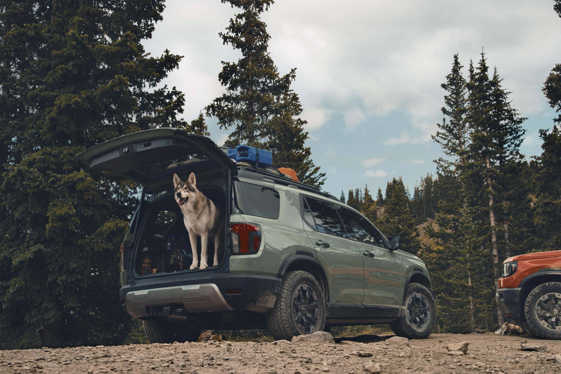 2025 Honda Passport TrailSport rear angled view