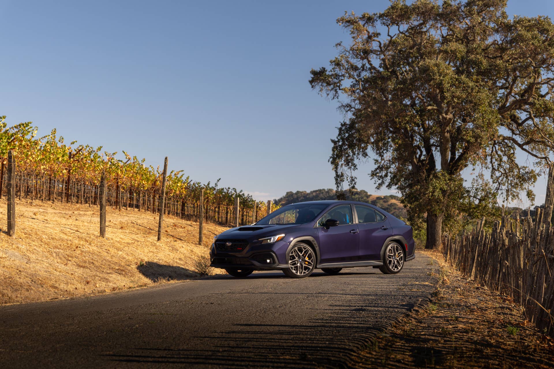 2025 Subaru WRX