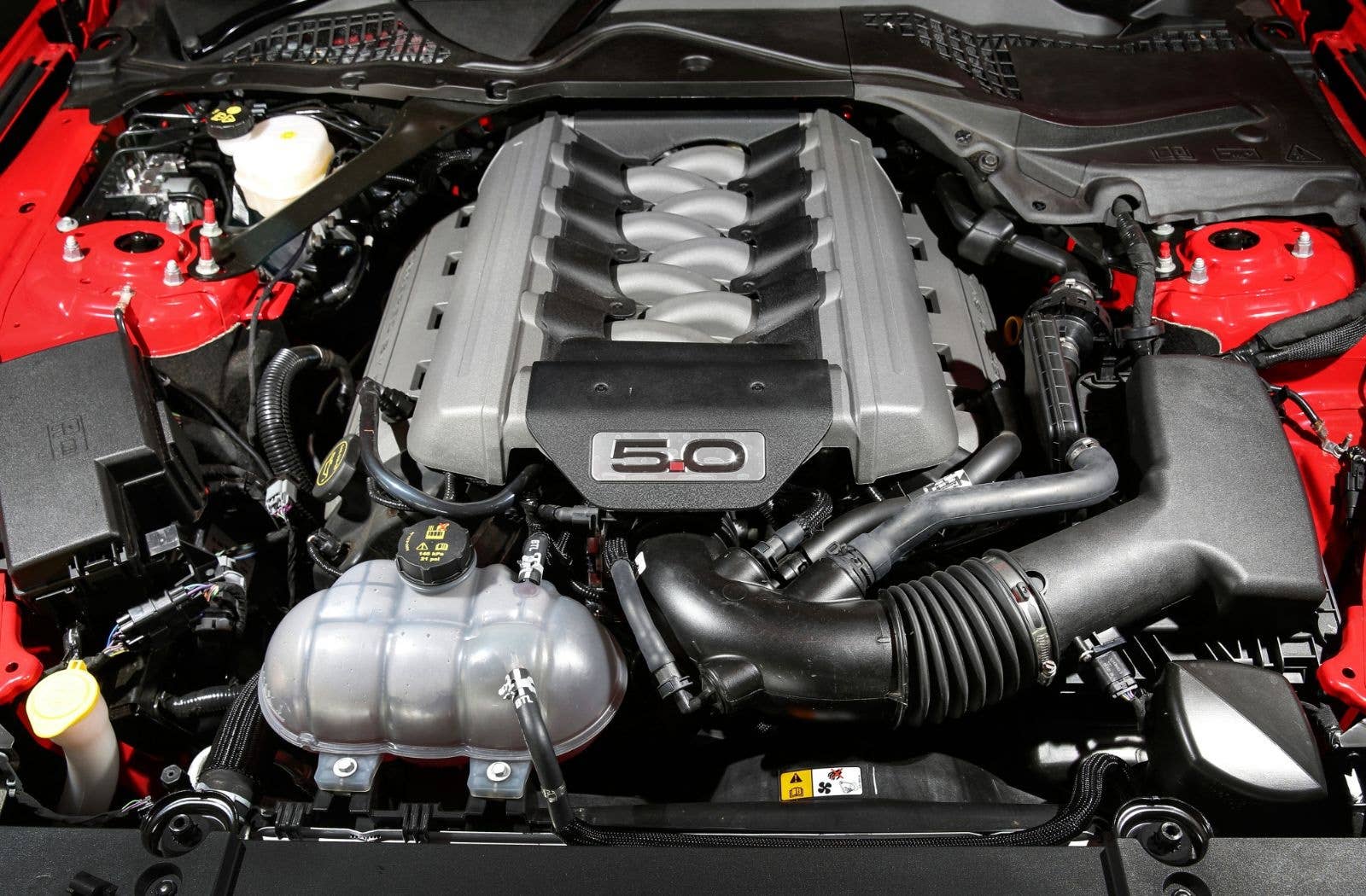 Ford Coyote V8 engine inside the hood