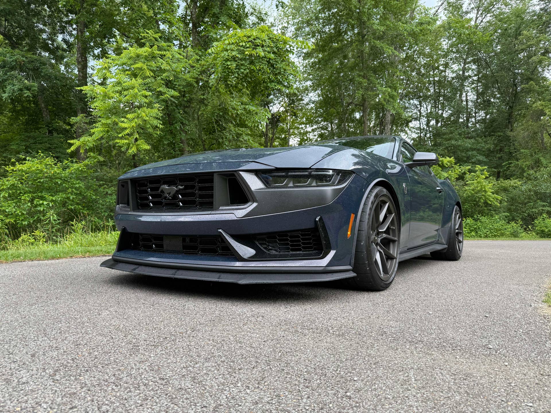 I Drove the Dark Horse to One of the Largest Mustang Shows In The