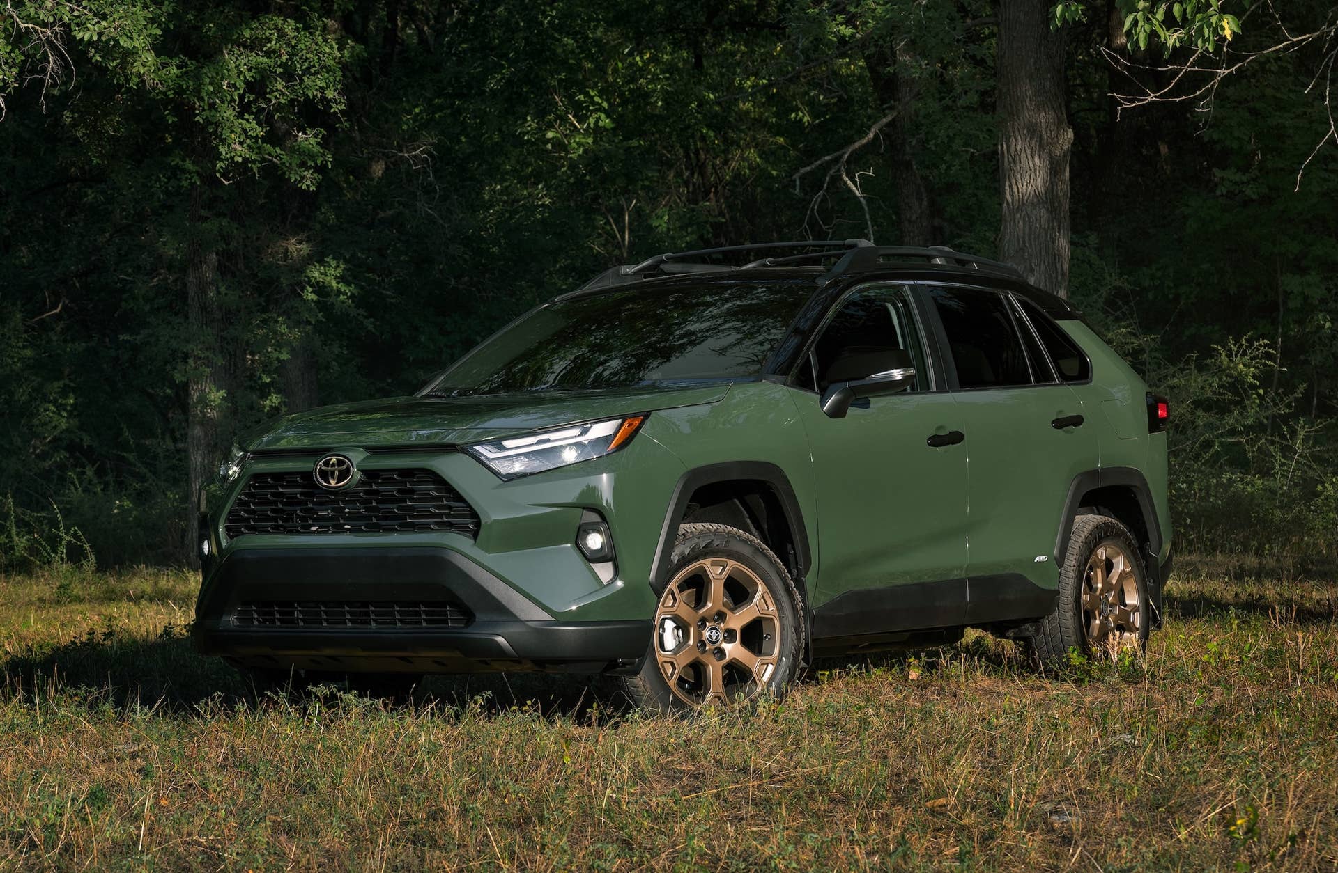 Toyota RAV4 Hybrid Woodland
