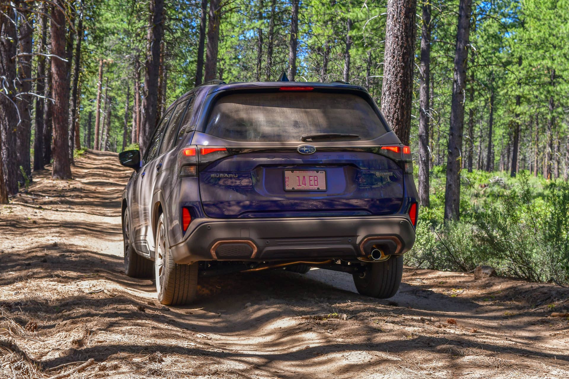 The rear end of the 2025 Subaru Forester Hybrid