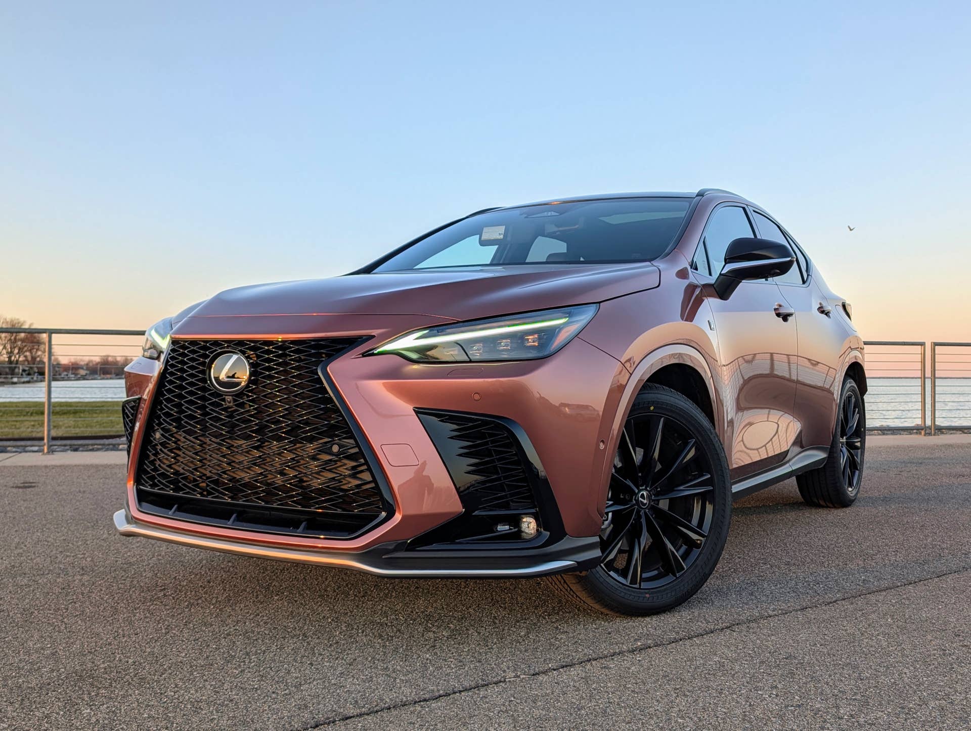 I Drove the 2025 Lexus NX 350 F Sport. Here's My Brutally Honest