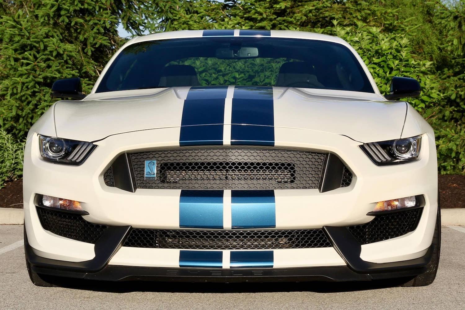 2020 Ford Mustang Shelby GT350 front static