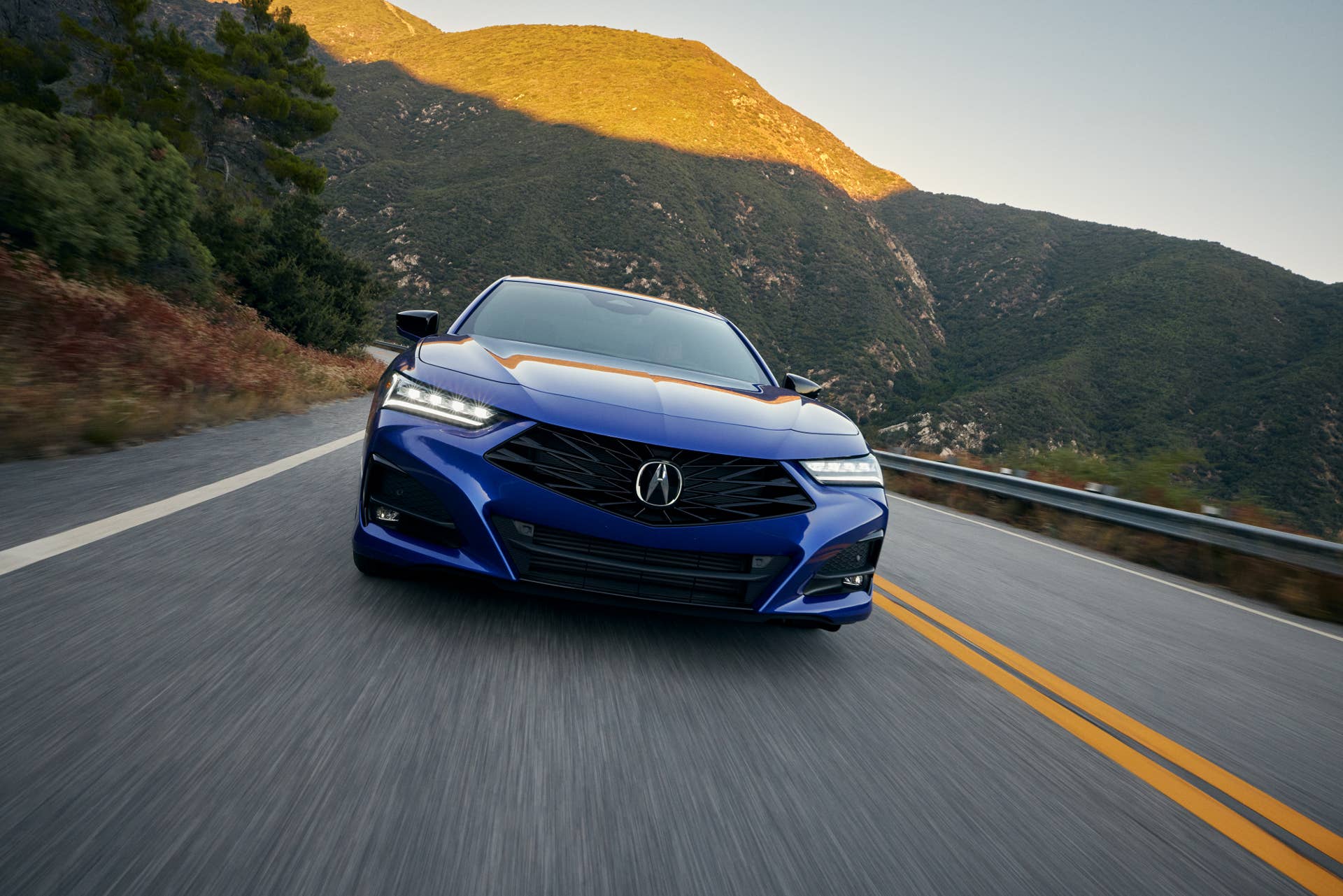 Acura TLX front grille