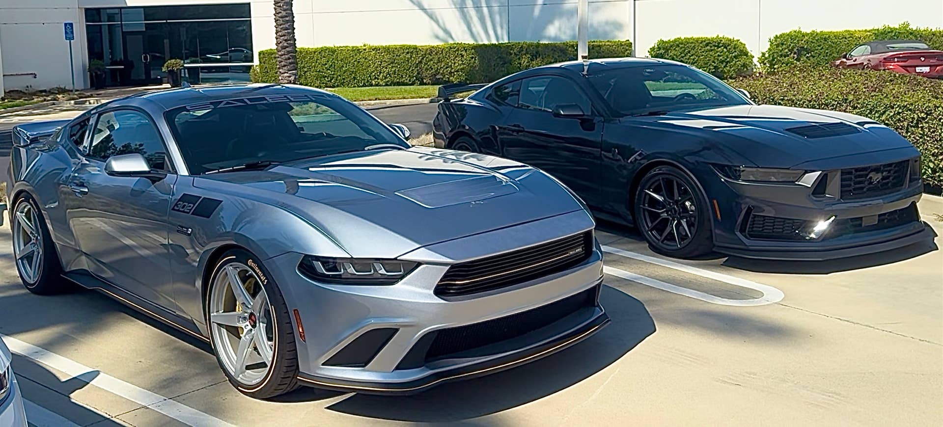 Ford Mustang Dark Horse and Saleen 302 White Label