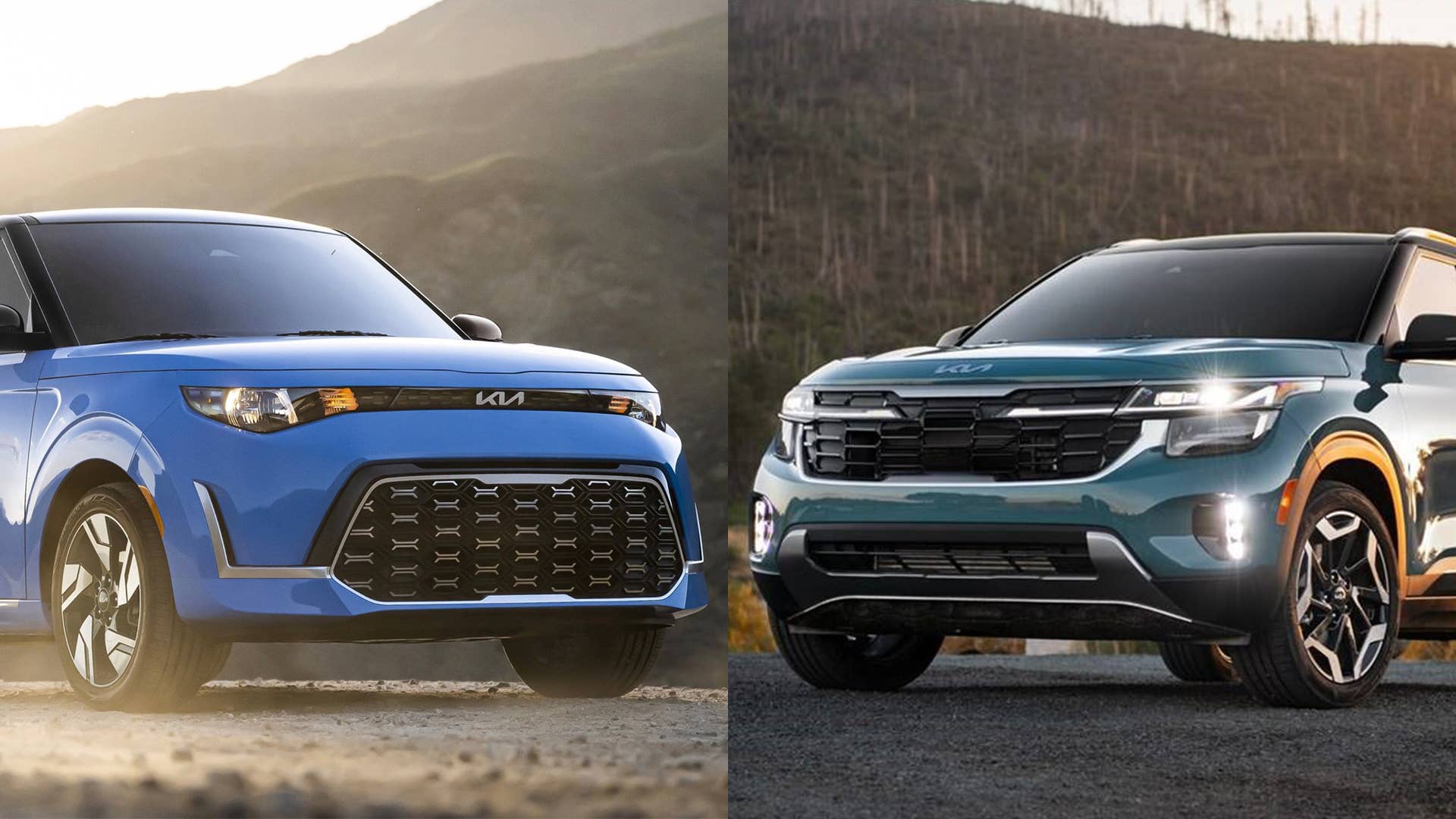 Kia Seltos Compared To Soulfeed