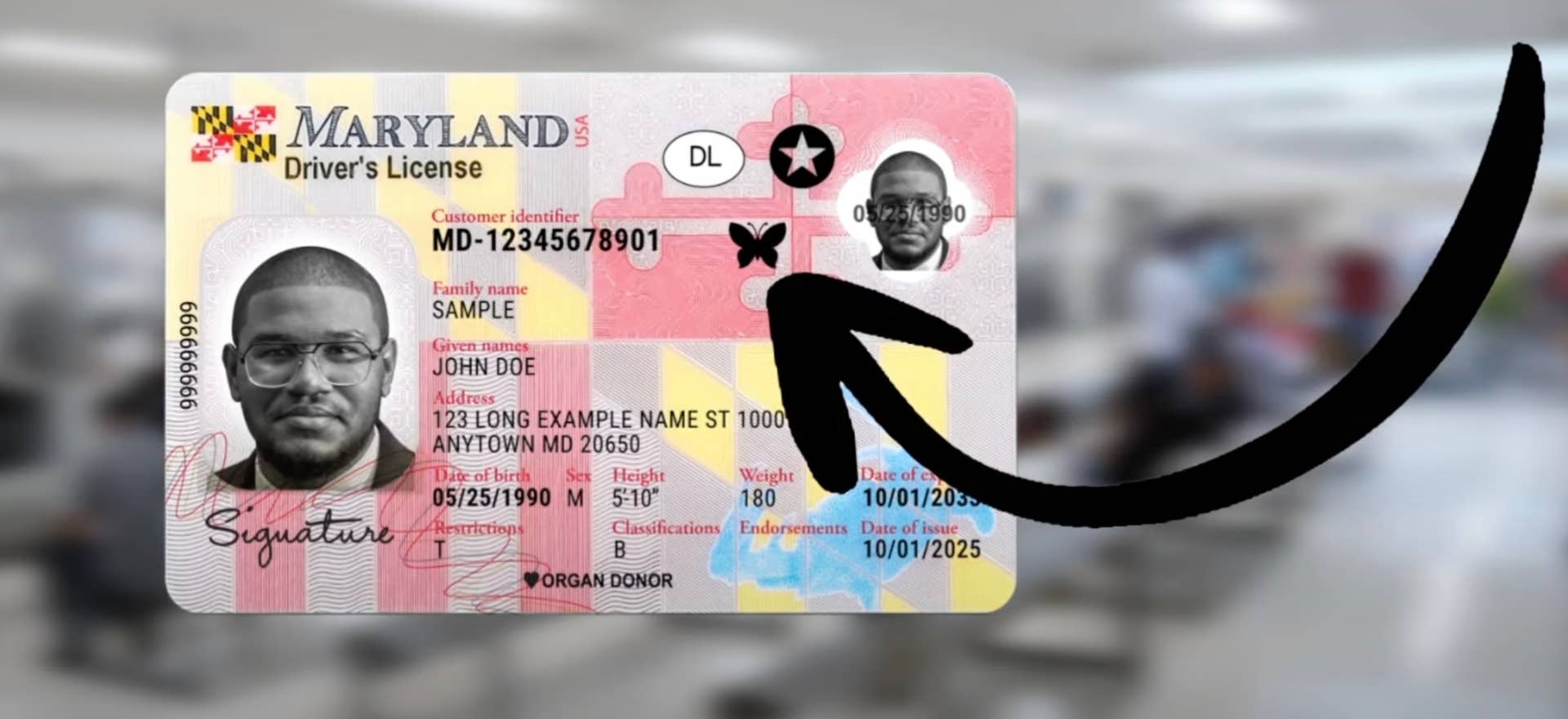 Maryland’s new hidden disability butterfly symbol for ID cards