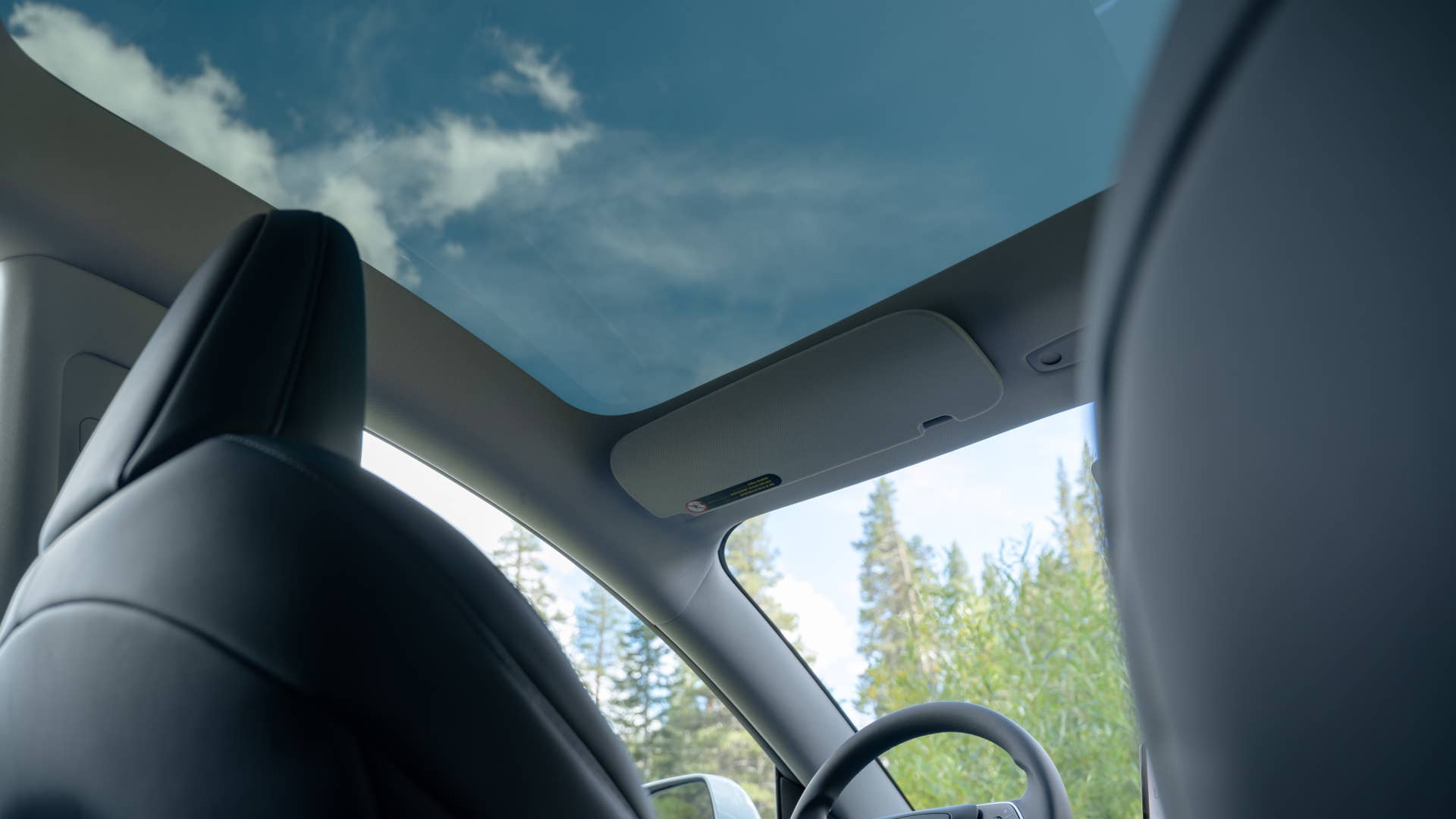Tesla Model 3 Standard glass roof