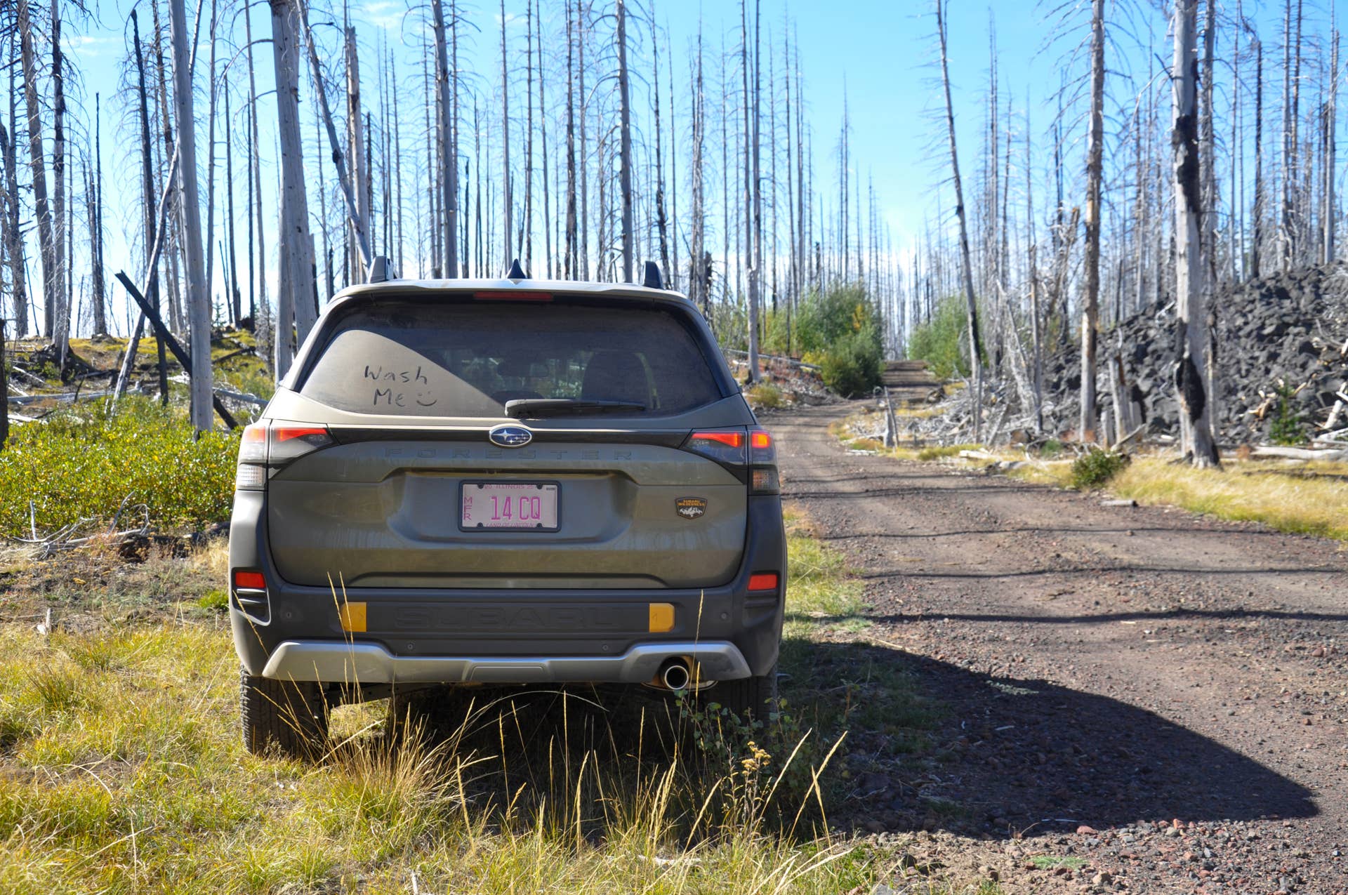 2026 Subaru Forester Wilderness